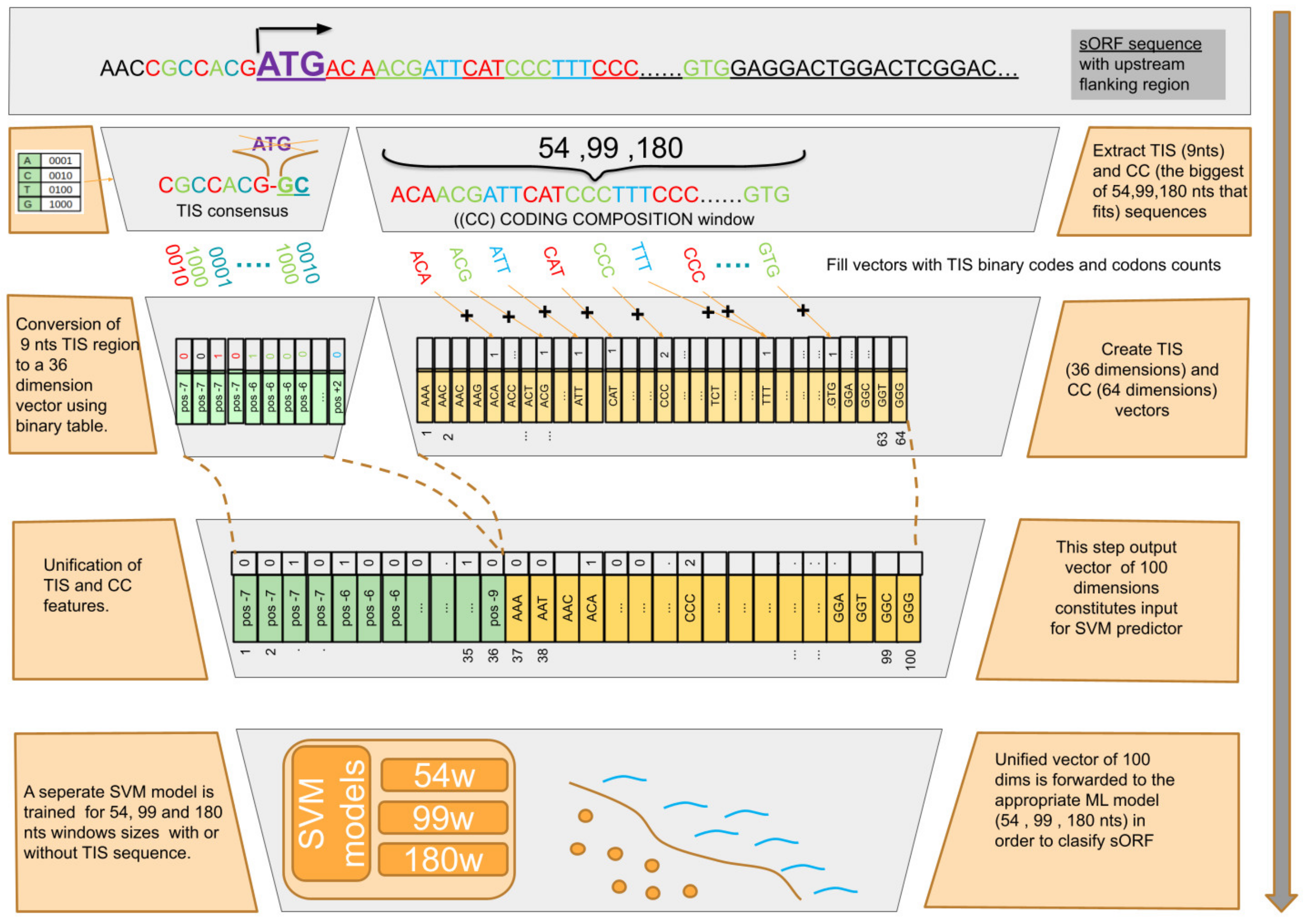 Biology 13 00563 g003
