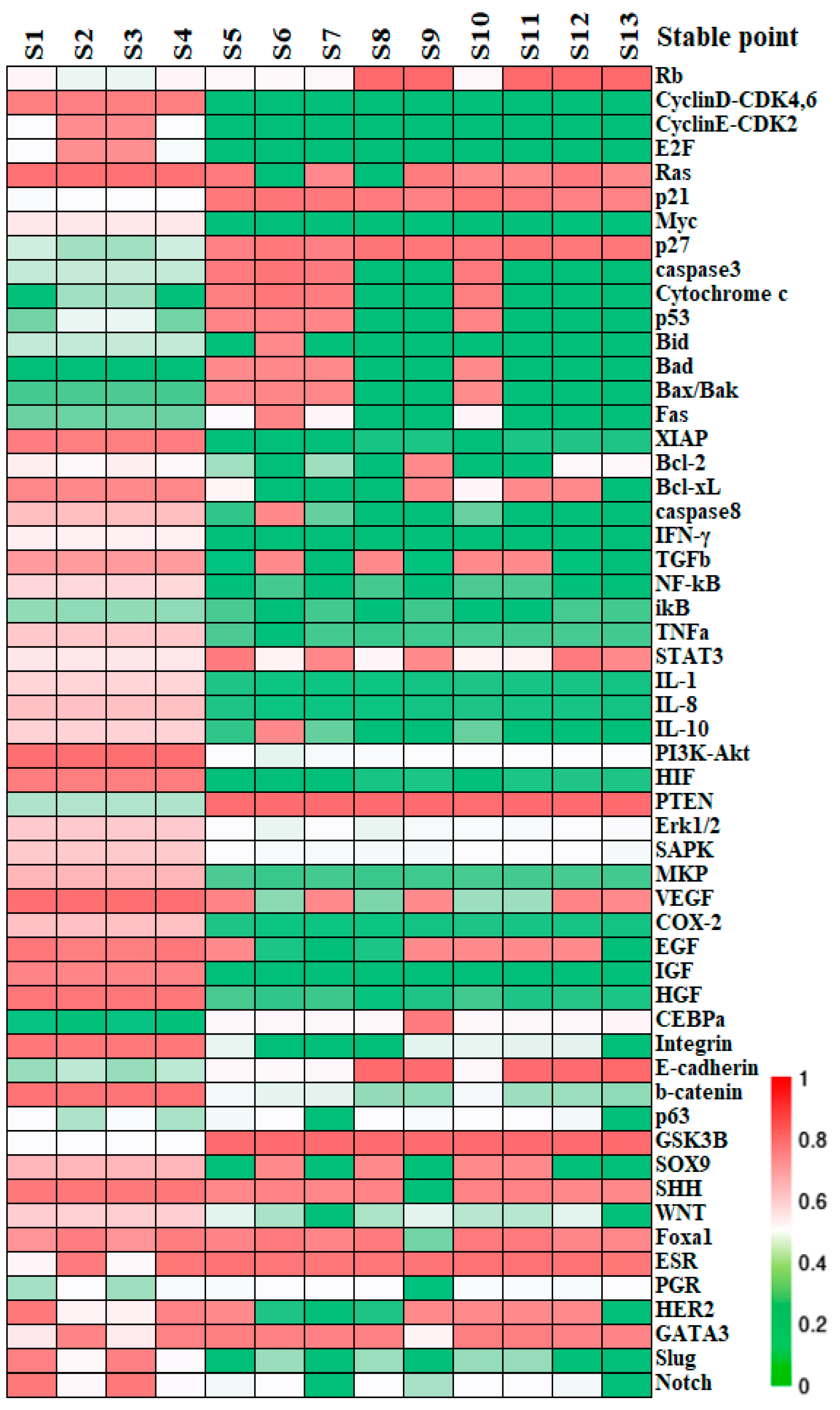 Biology 13 00564 g002