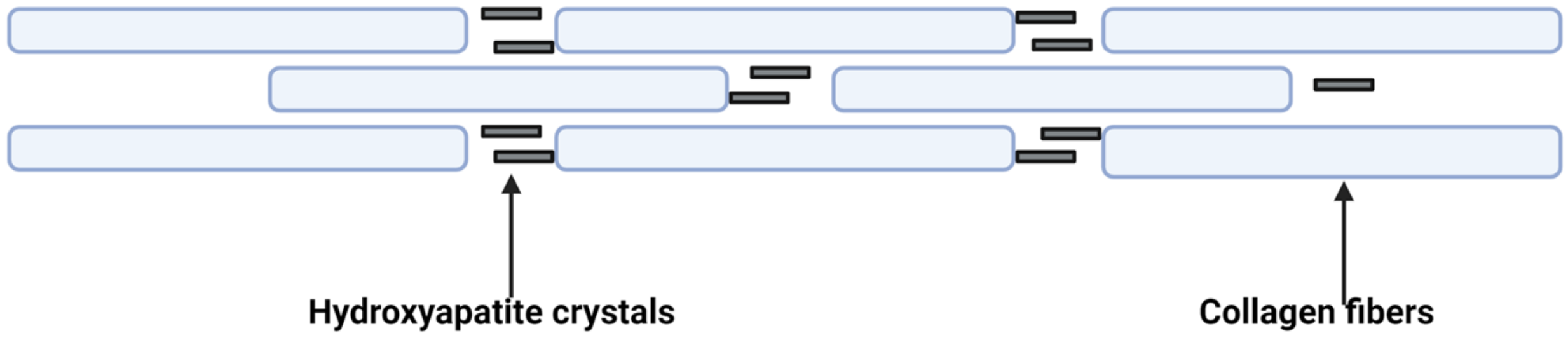 Biology 13 00565 g002