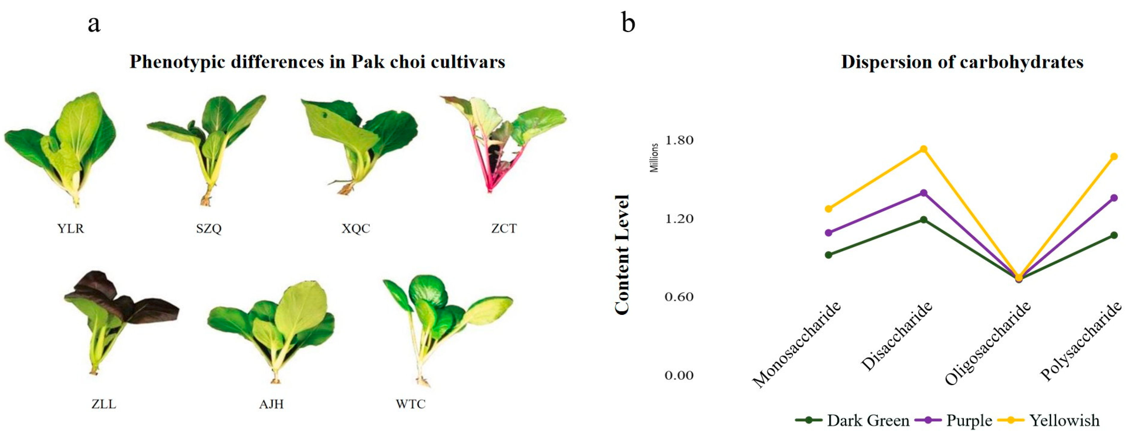 Biology 13 00568 g001