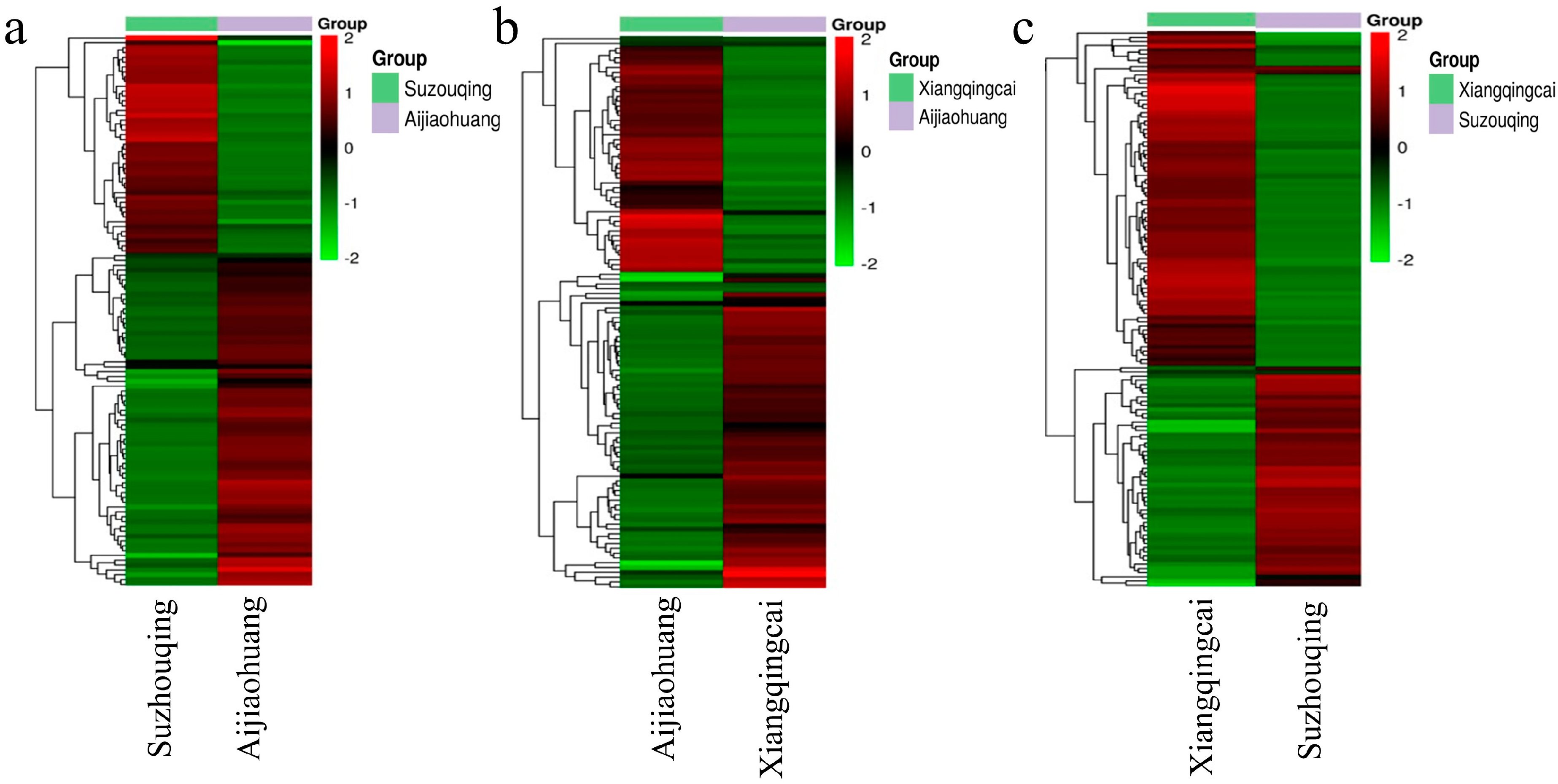 Biology 13 00568 g005