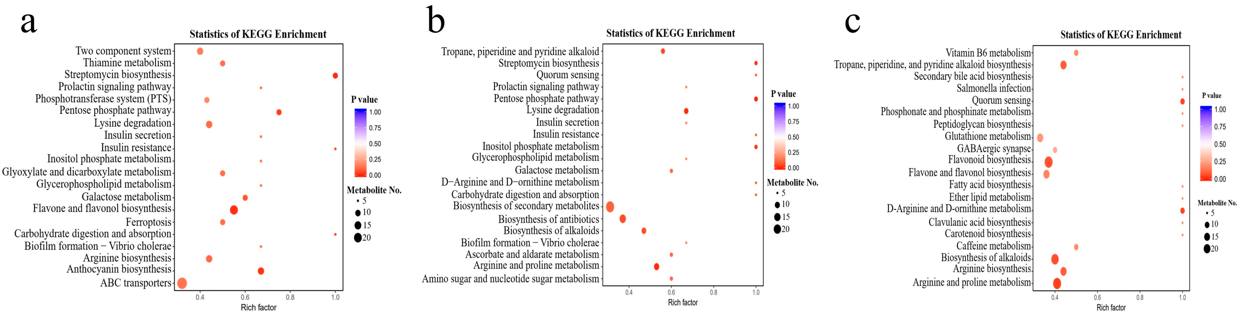 Biology 13 00568 g006