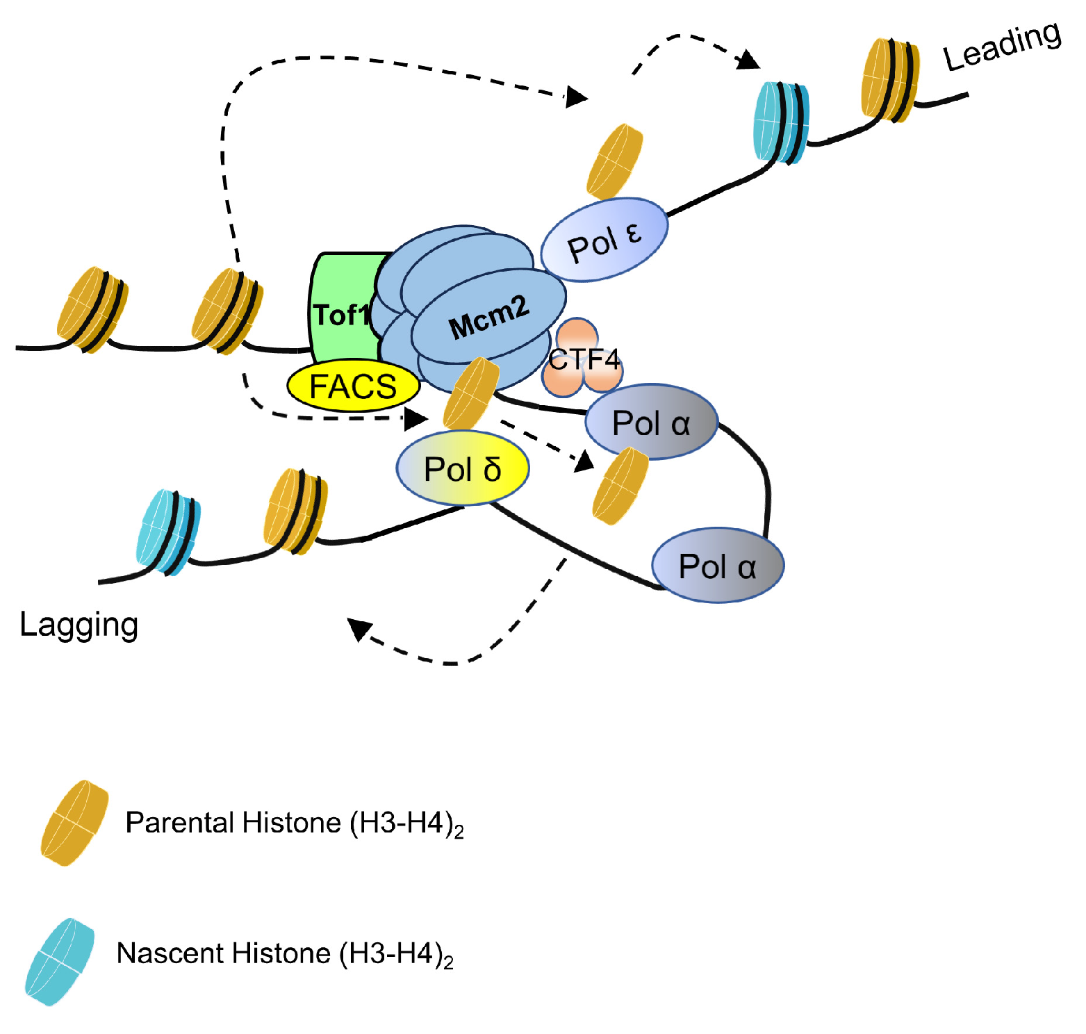 Biology 13 00572 g002