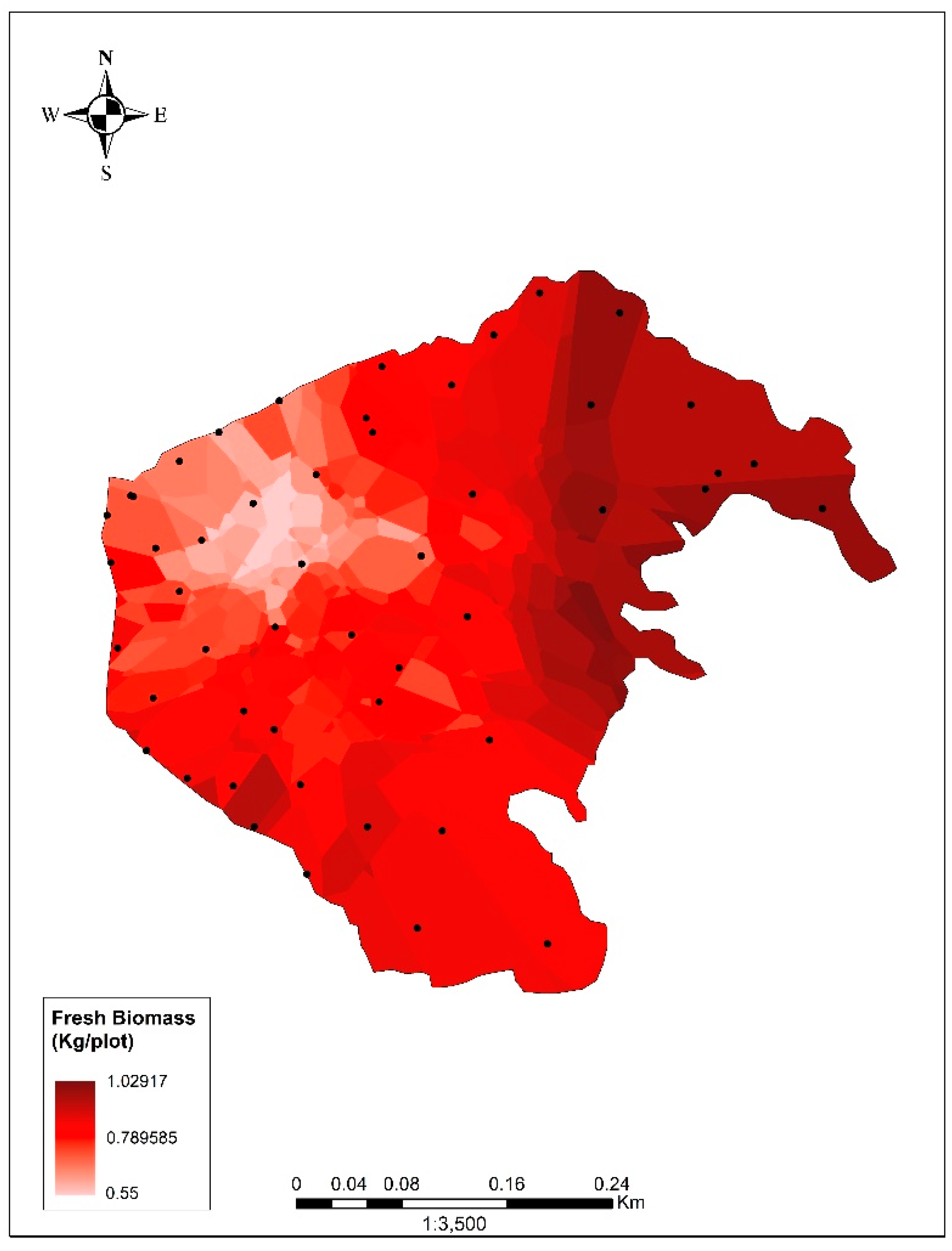 Biology 13 00573 g002