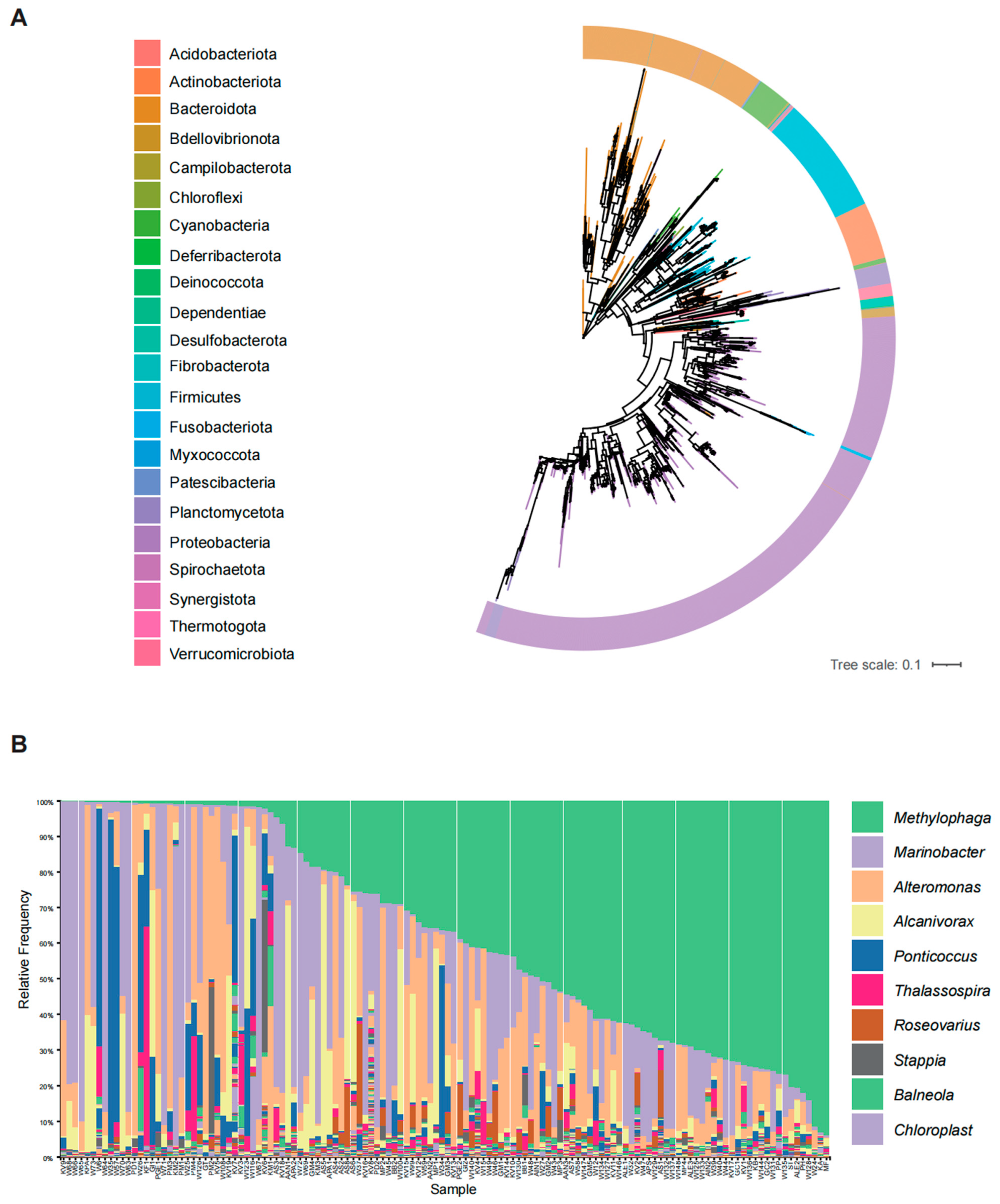 Biology 13 00579 g001