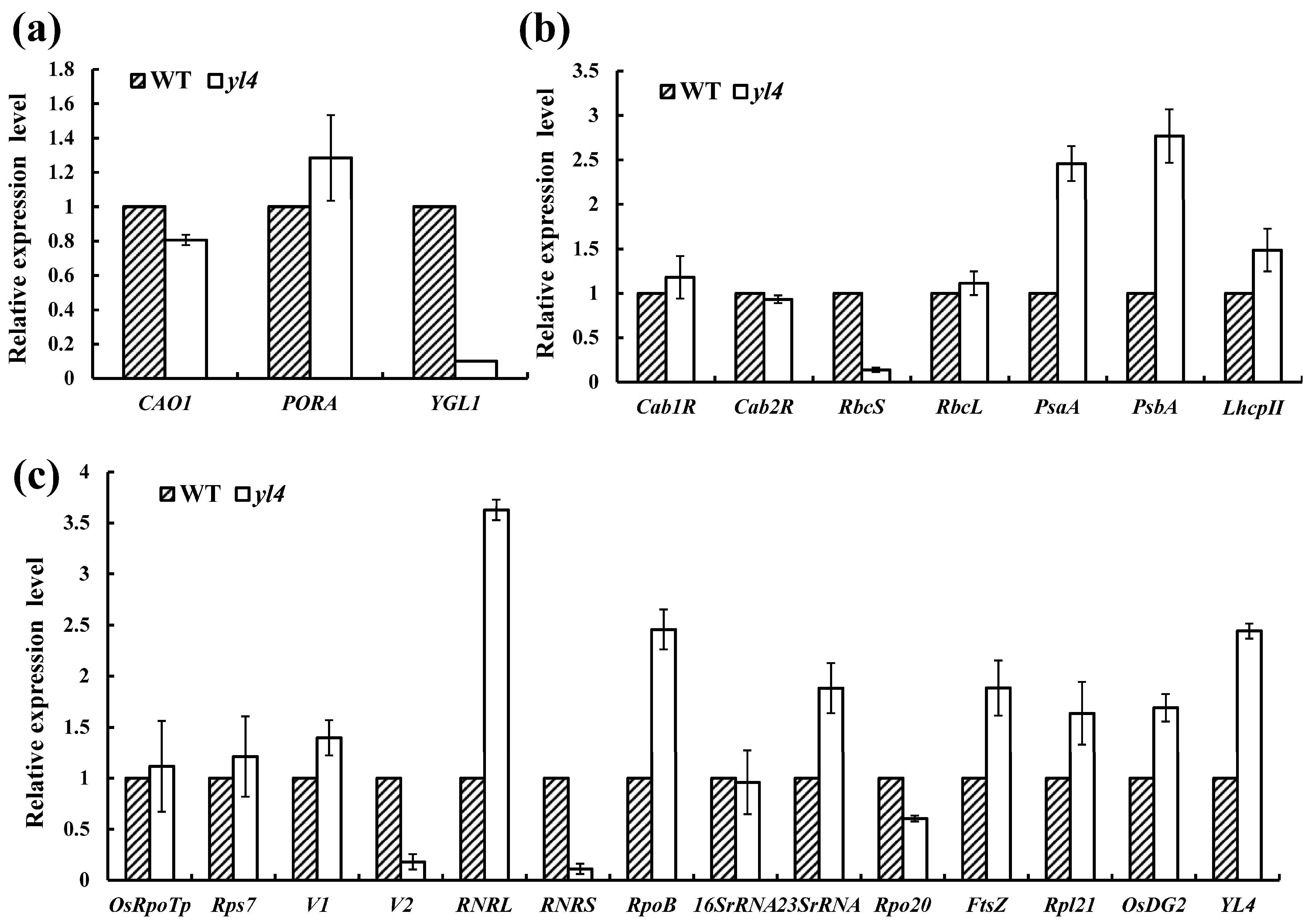 Biology 13 00580 g007