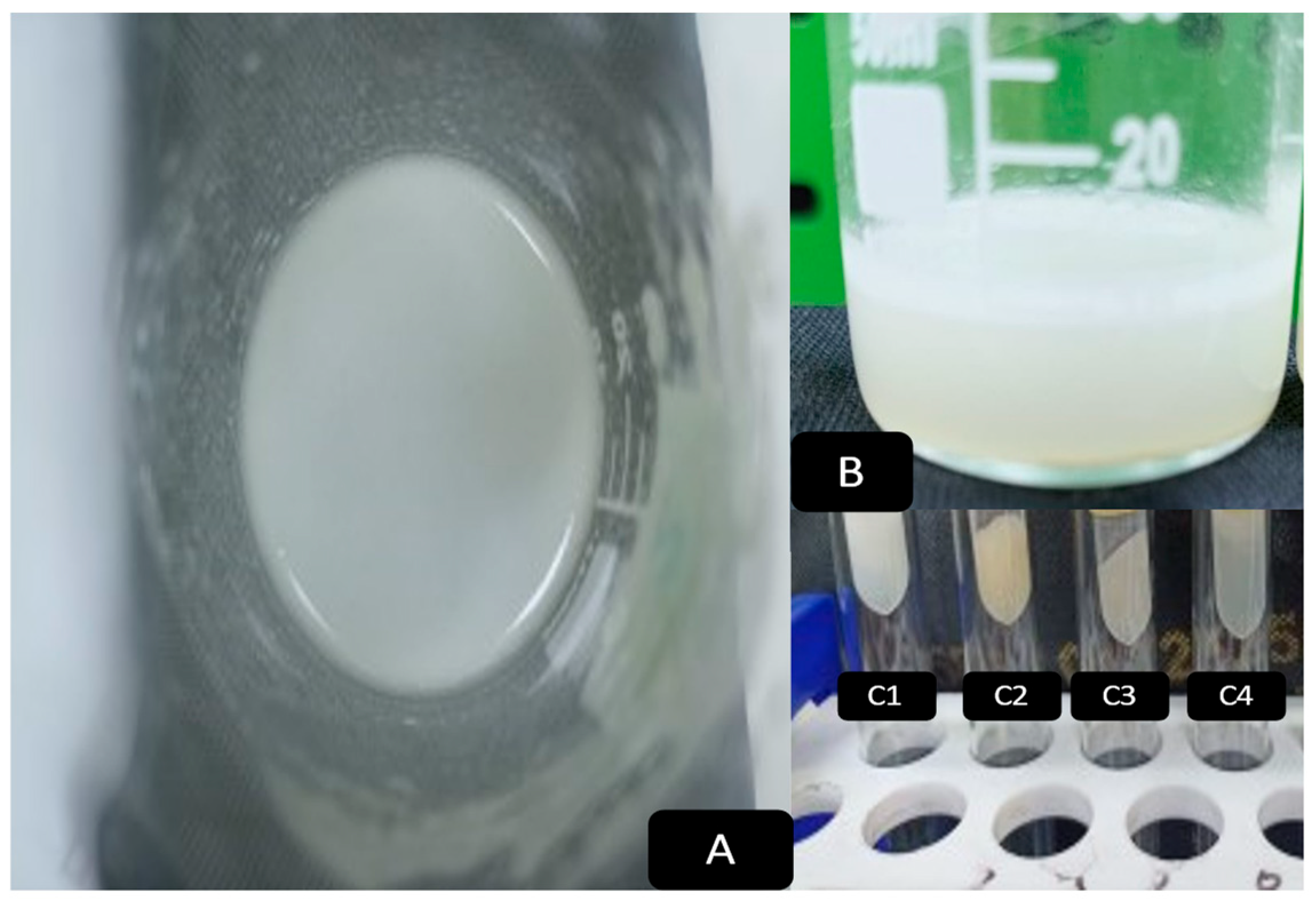 Biology 13 00581 g003