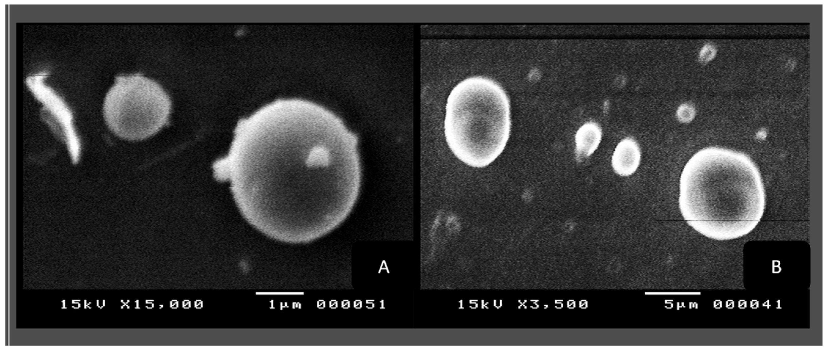 Biology 13 00581 g007