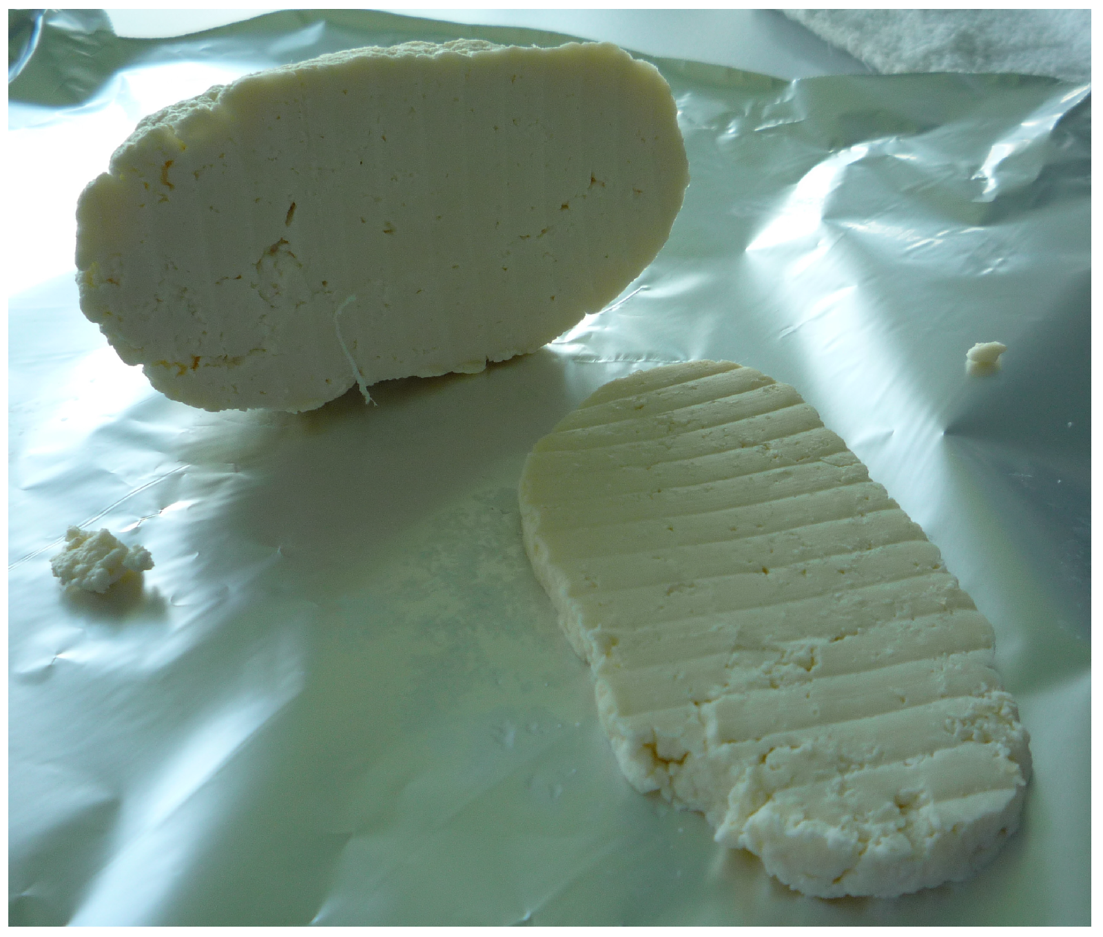 Biology 13 00582 g001