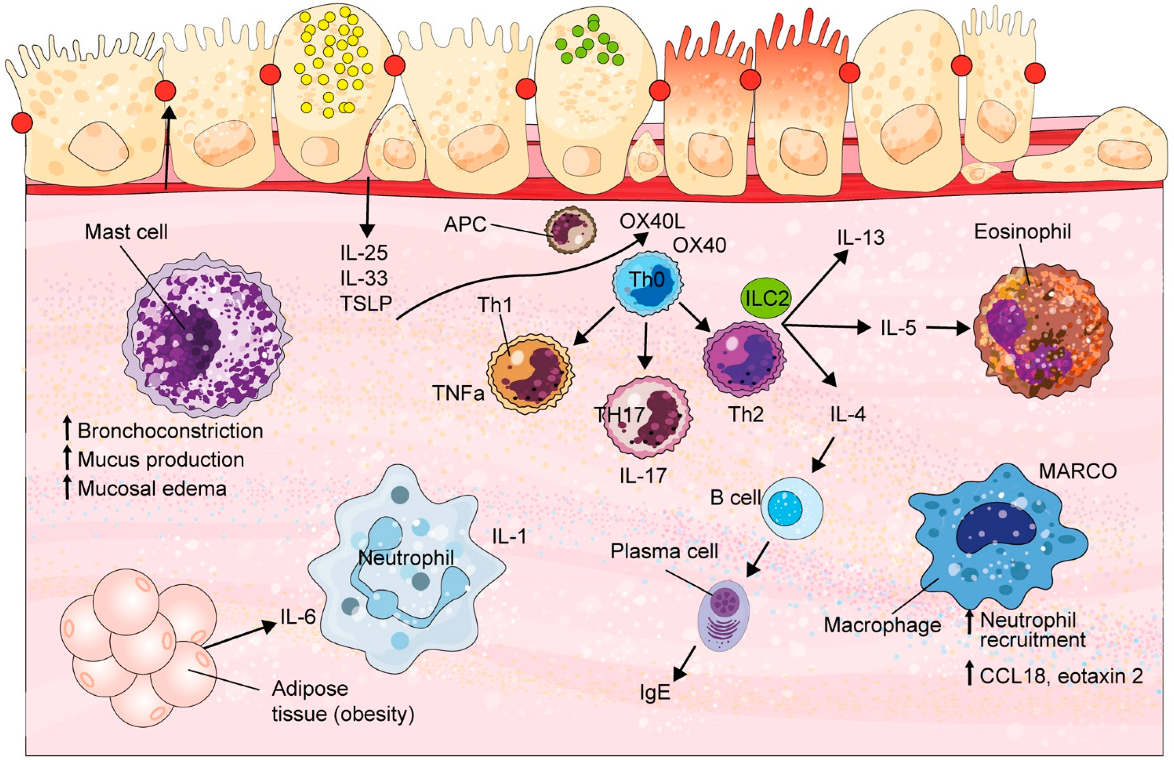 Biology 13 00583 g001