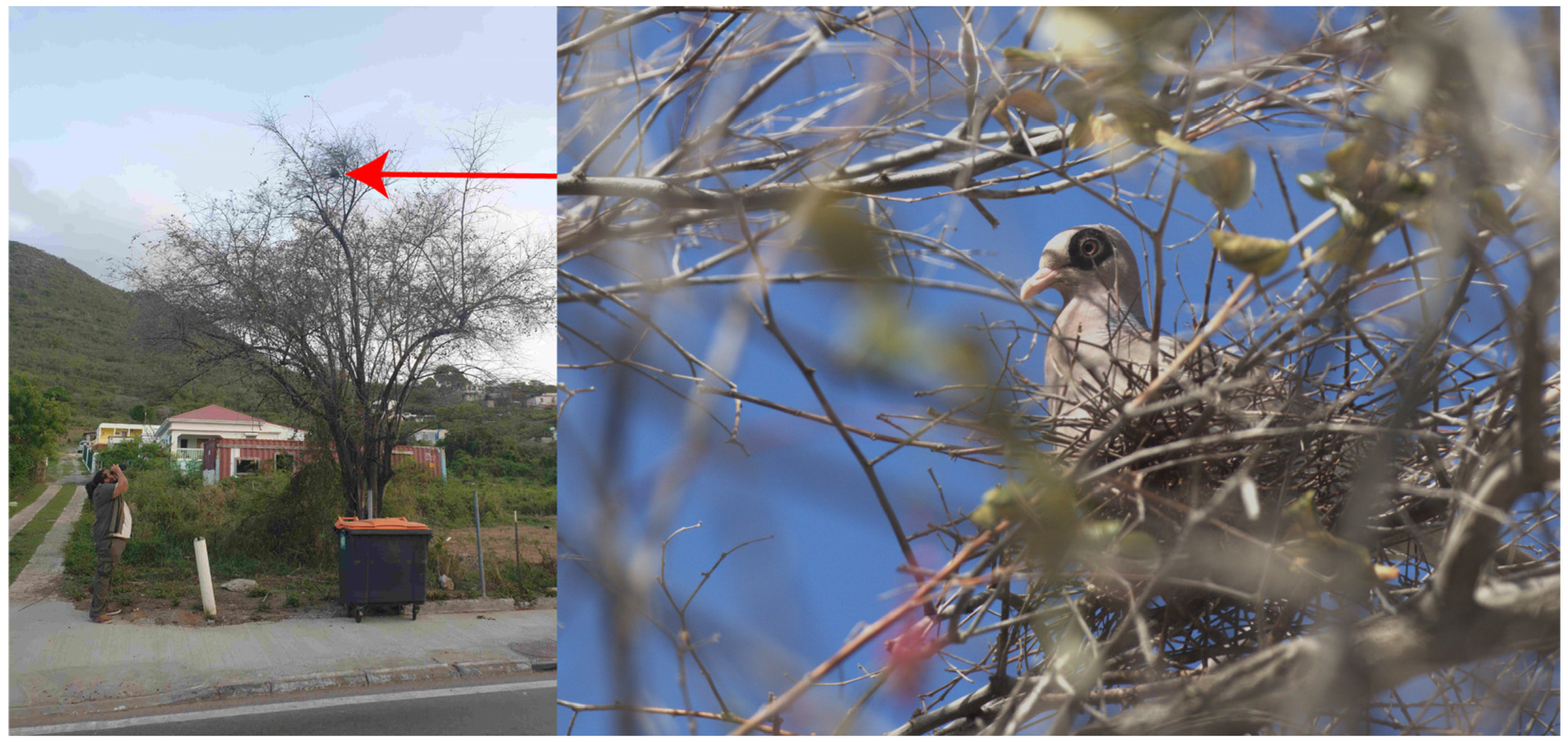 Biology 13 00585 g005