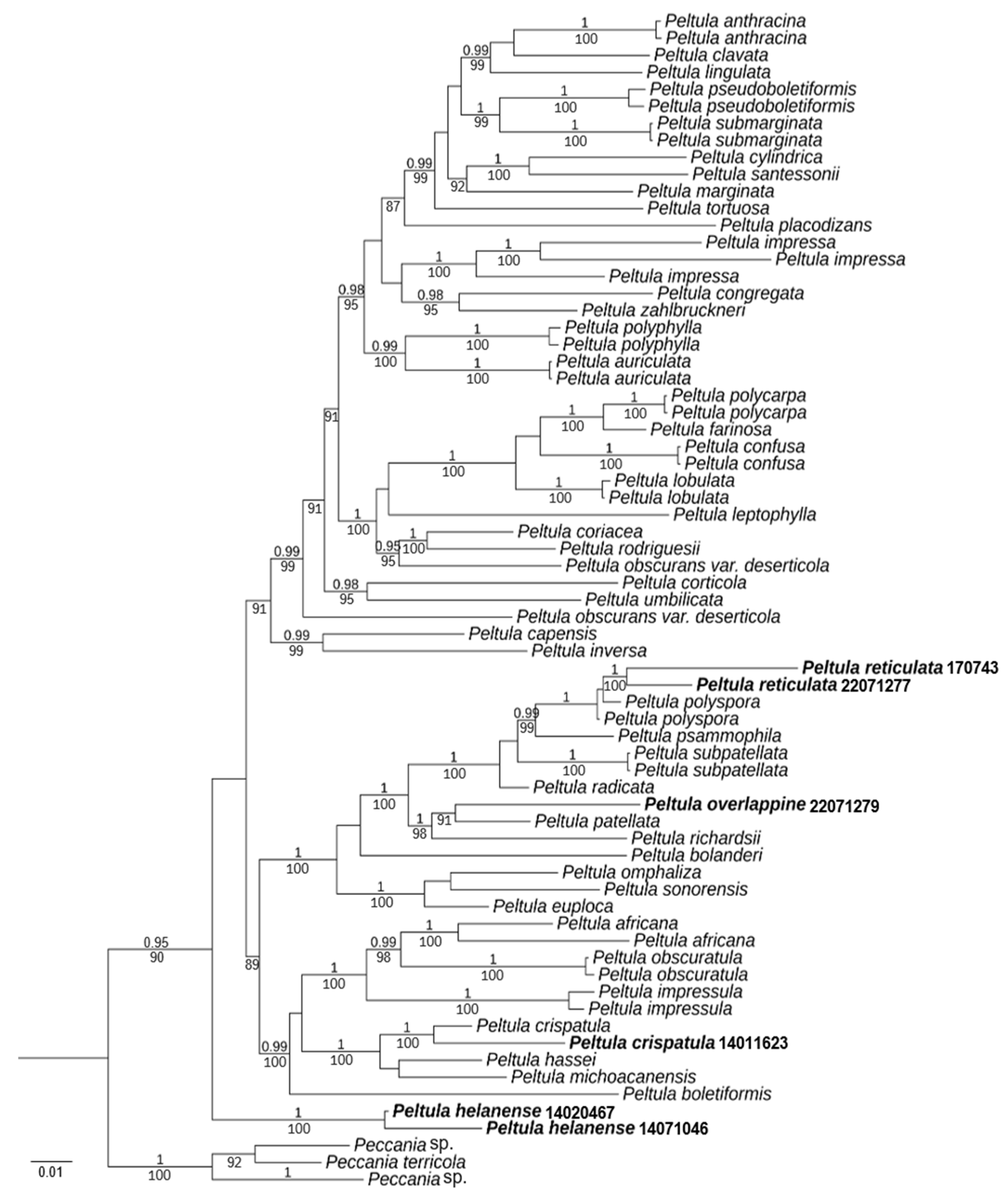 Biology 13 00590 g001