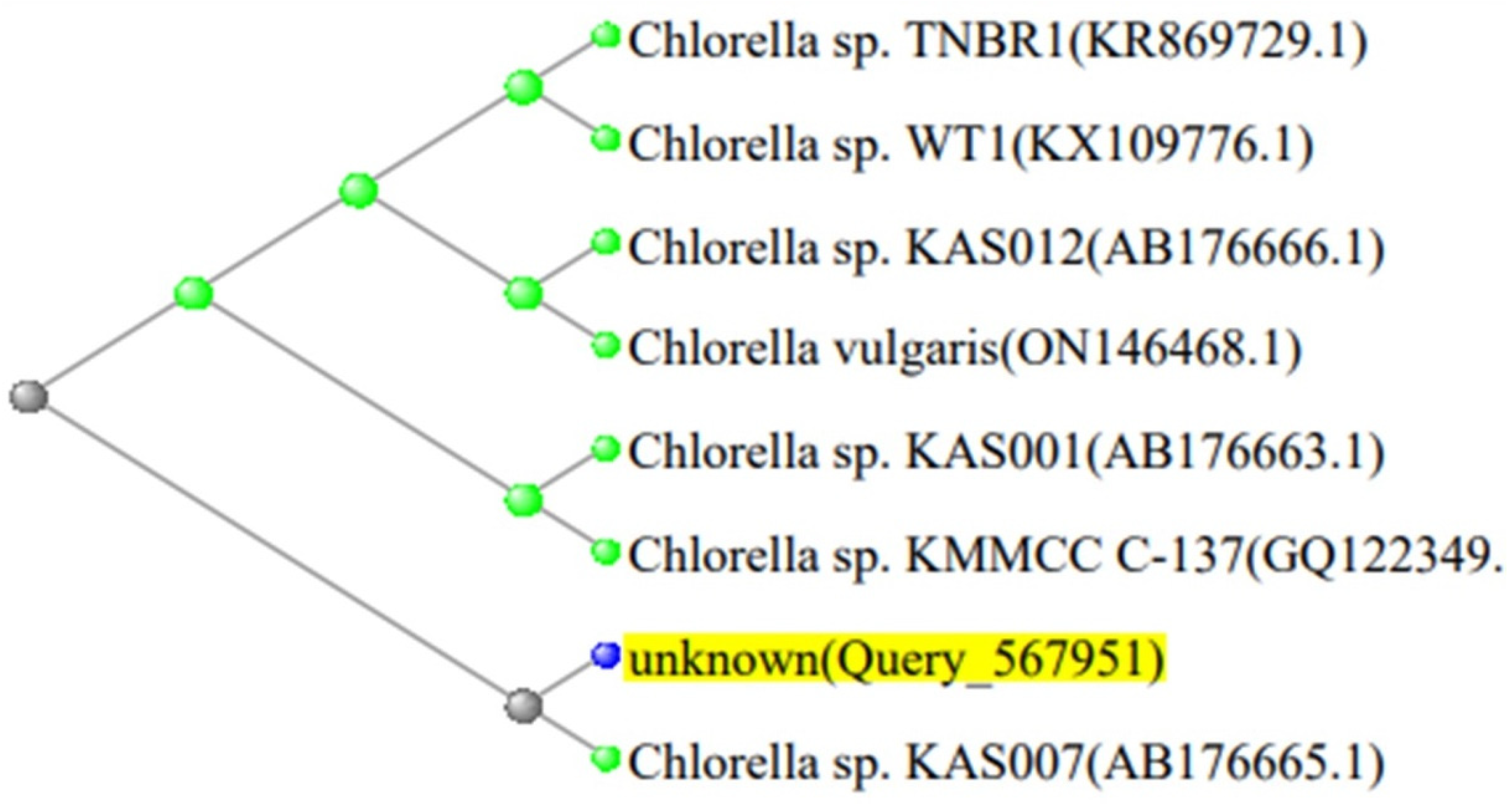 Biology 13 00591 g001