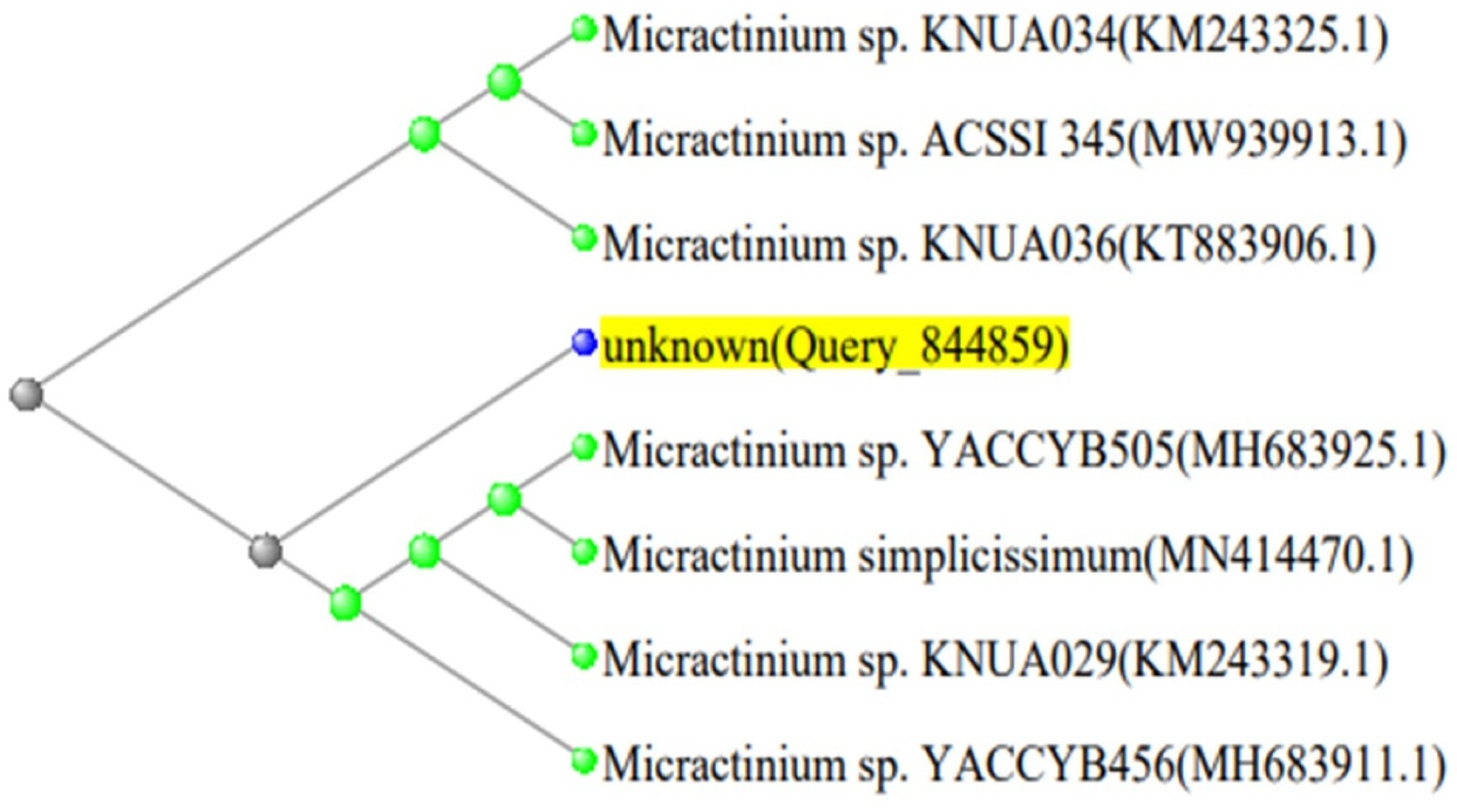 Biology 13 00591 g002