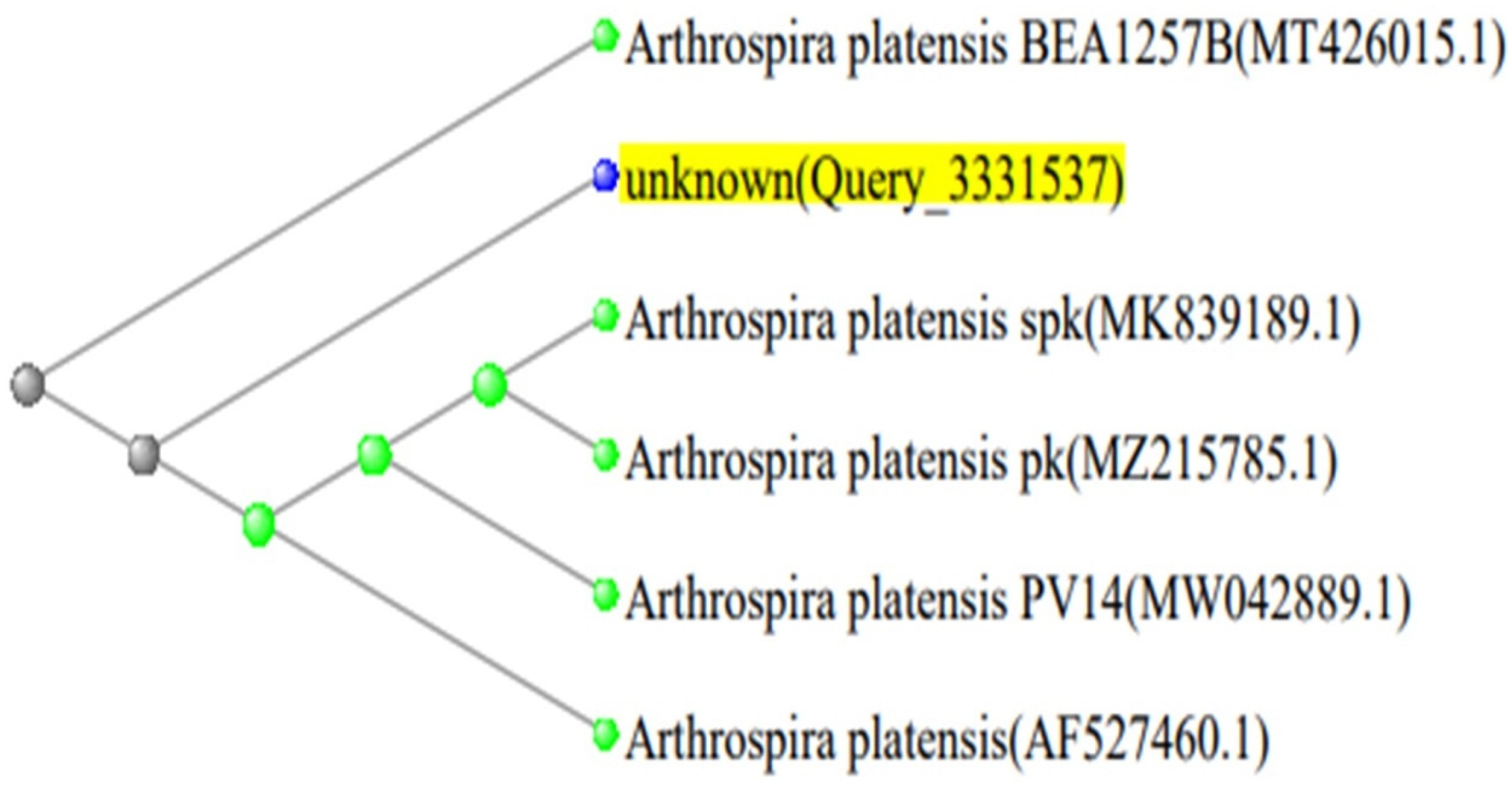 Biology 13 00591 g003