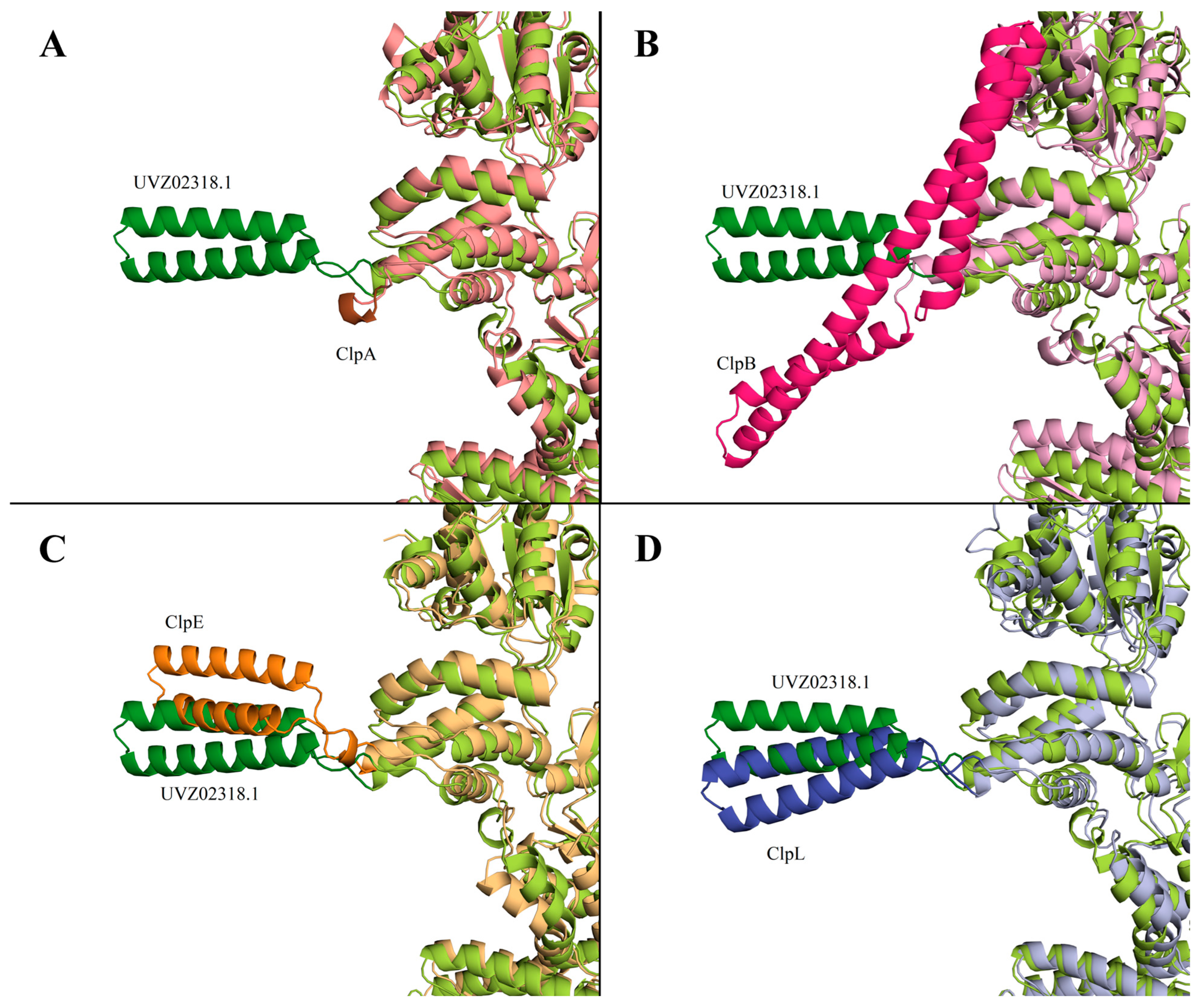 Biology 13 00592 g002