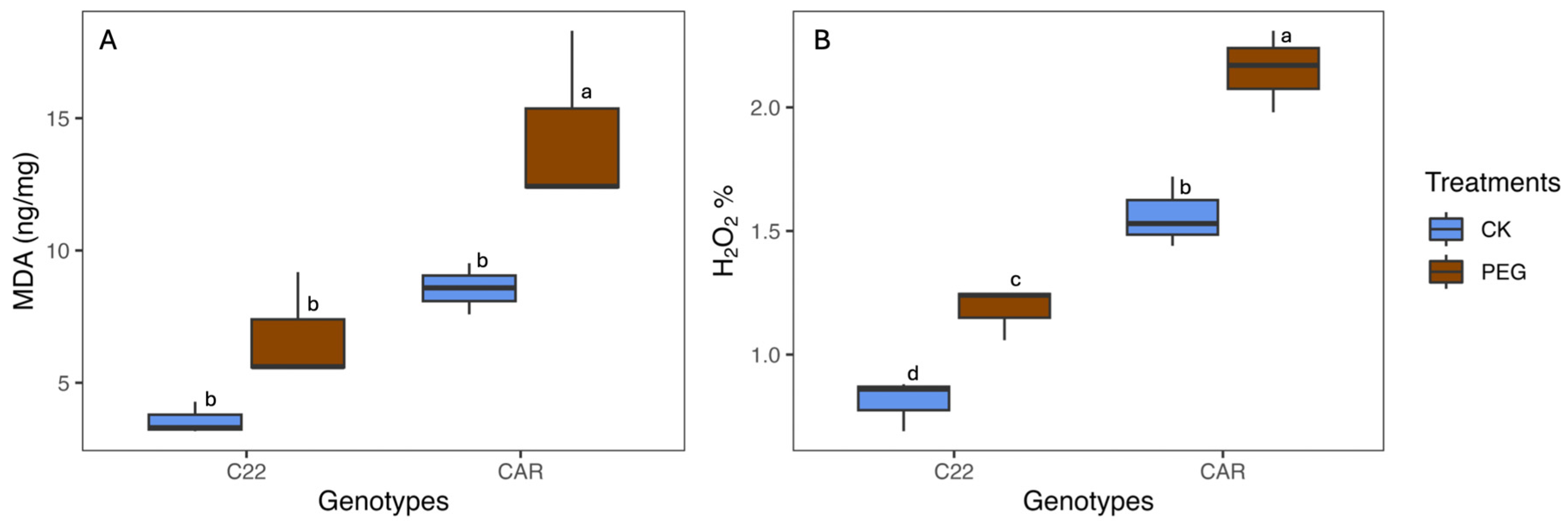 Biology 13 00595 g001