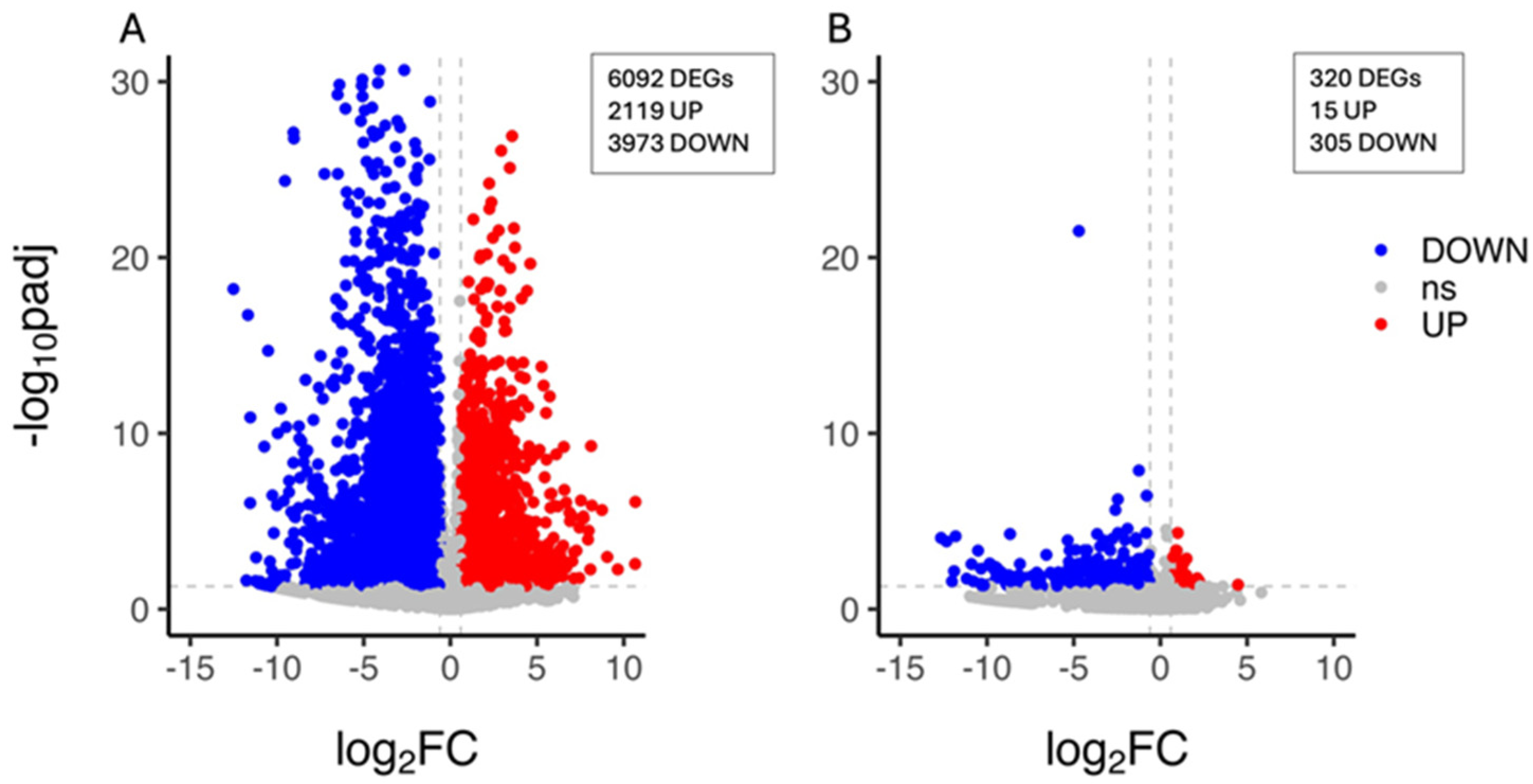 Biology 13 00595 g002