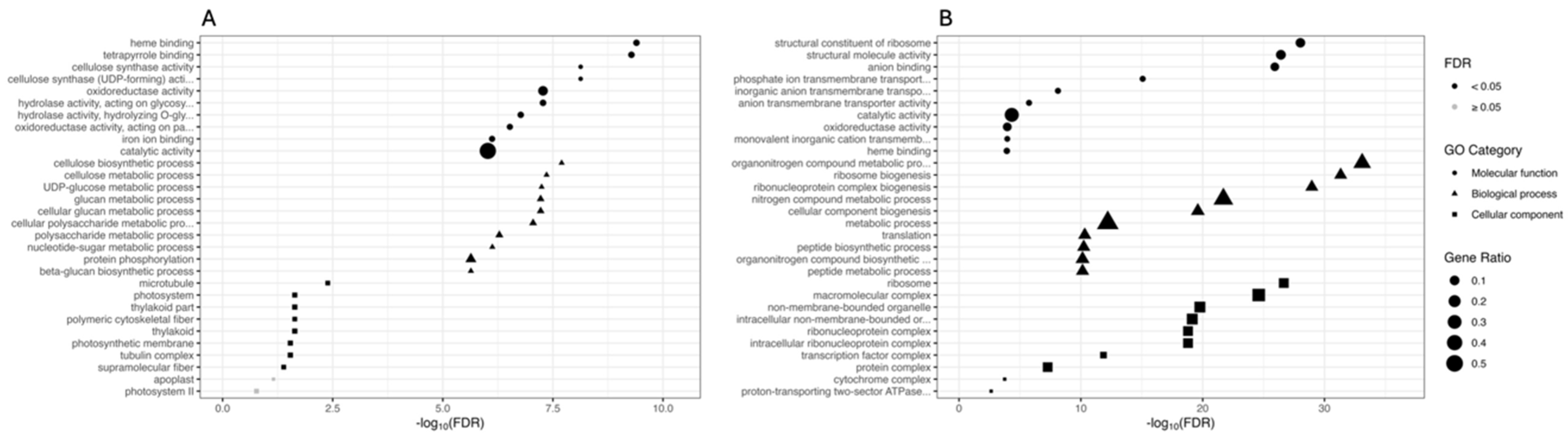 Biology 13 00595 g003