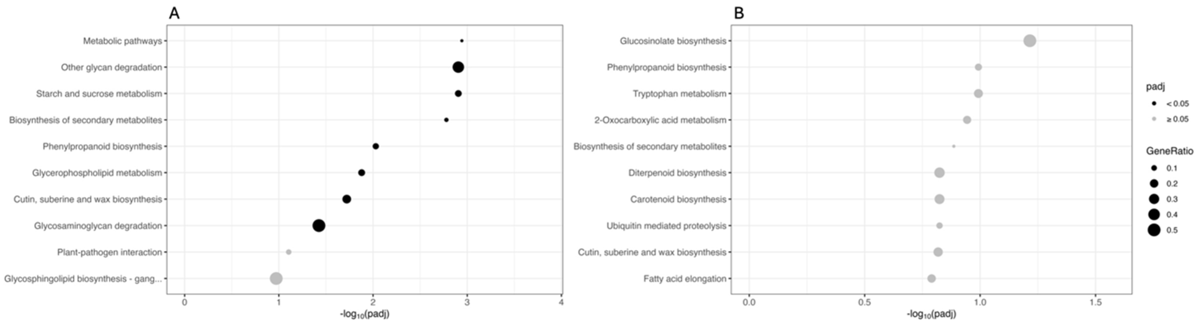 Biology 13 00595 g004