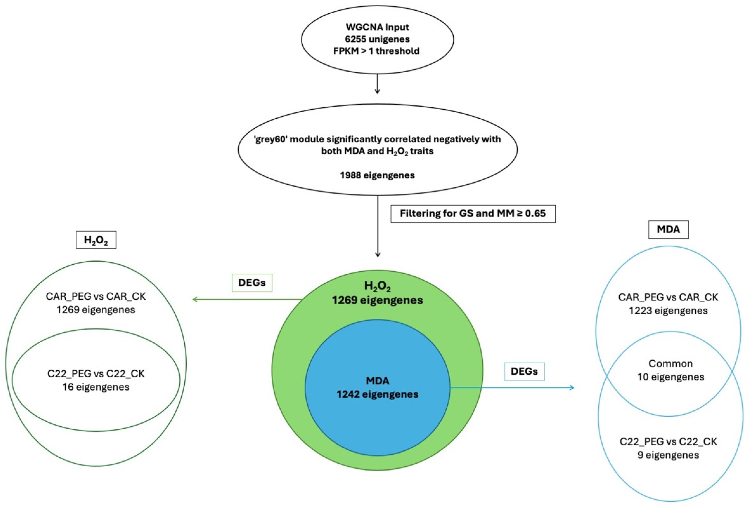 Biology 13 00595 g007