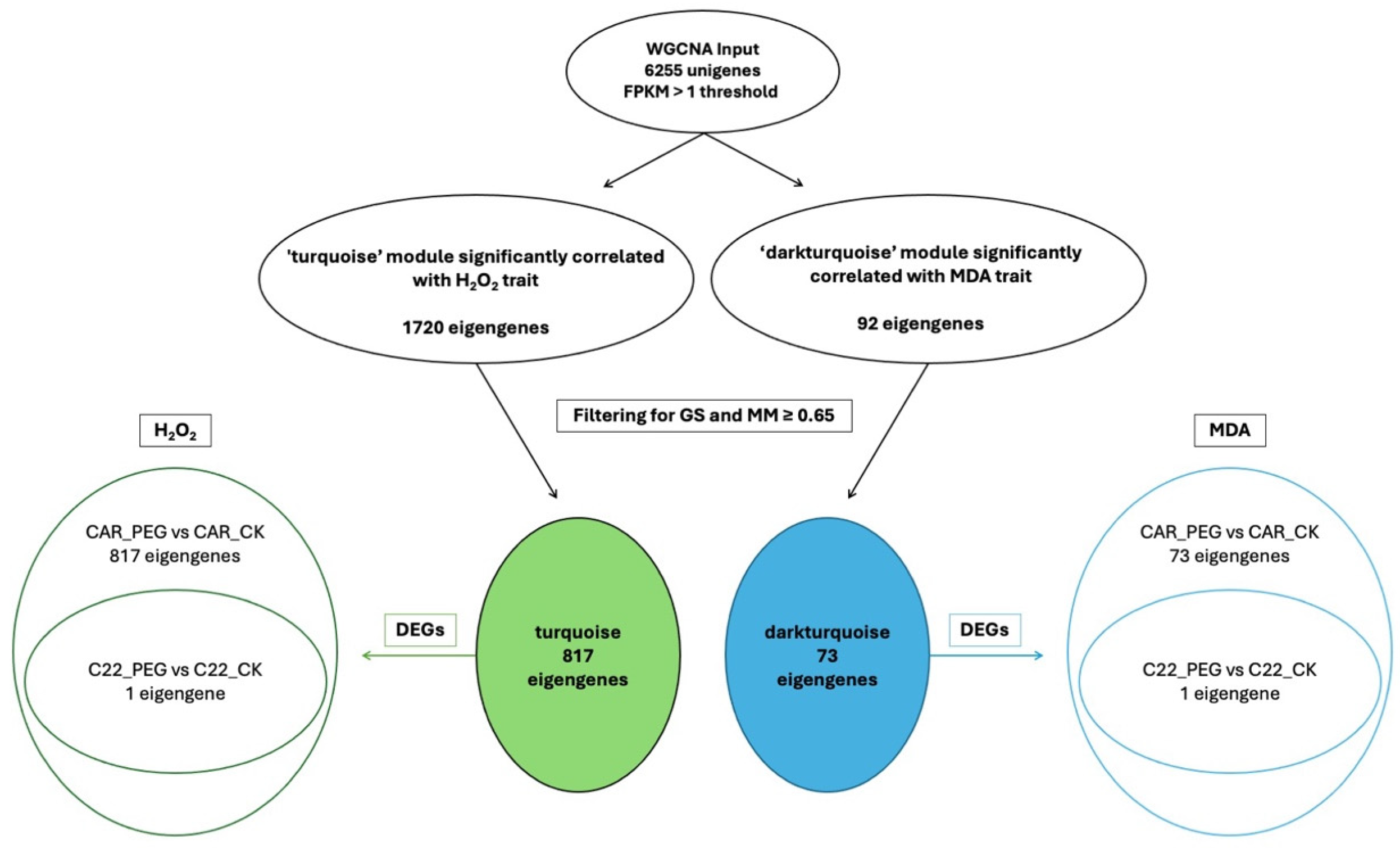 Biology 13 00595 g008