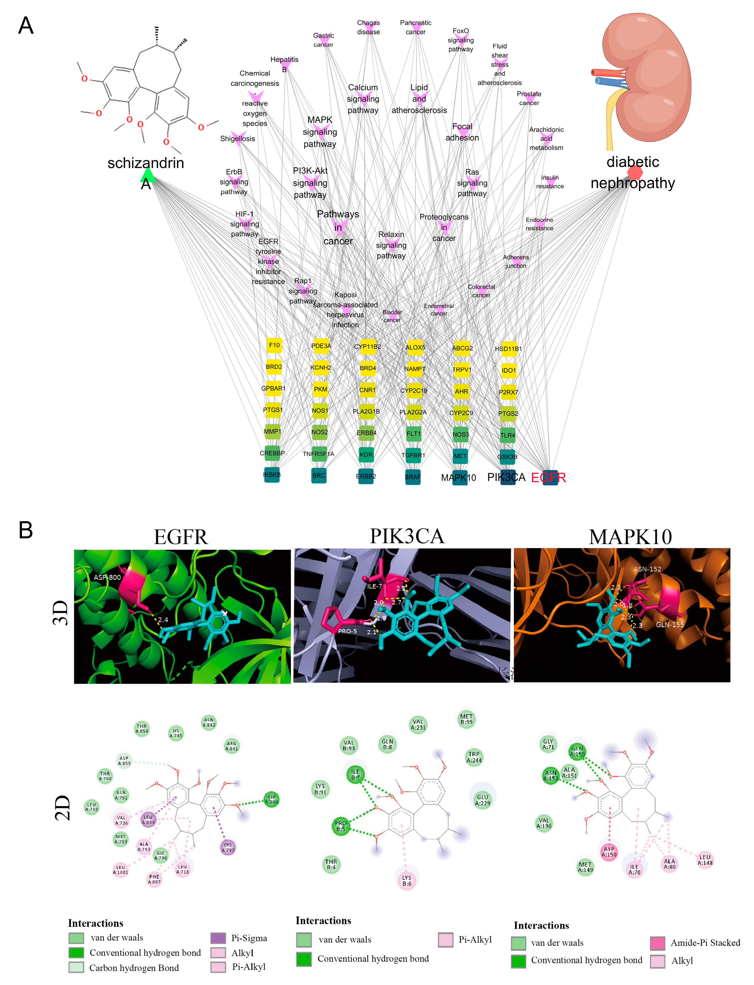 Biology 13 00597 g004