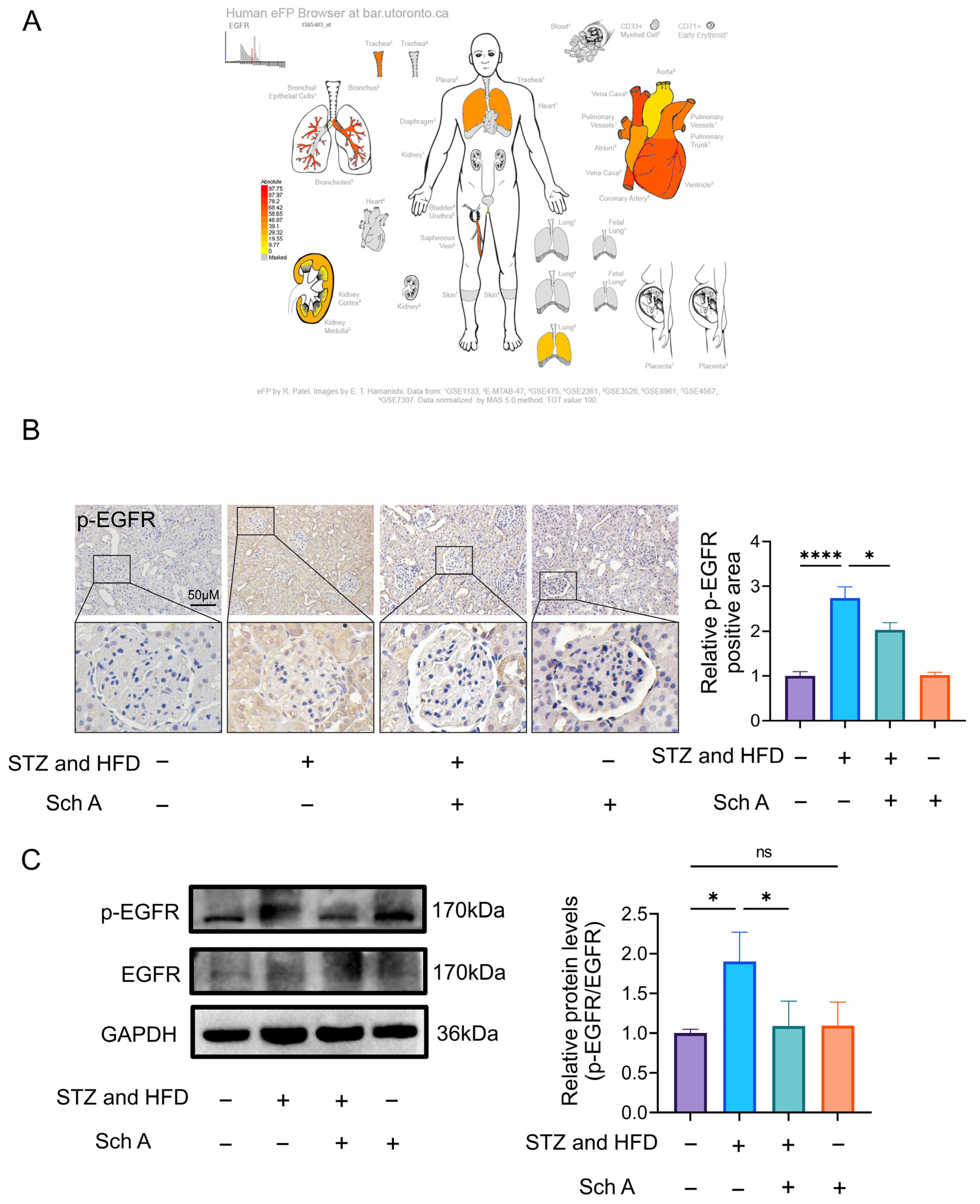 Biology 13 00597 g005