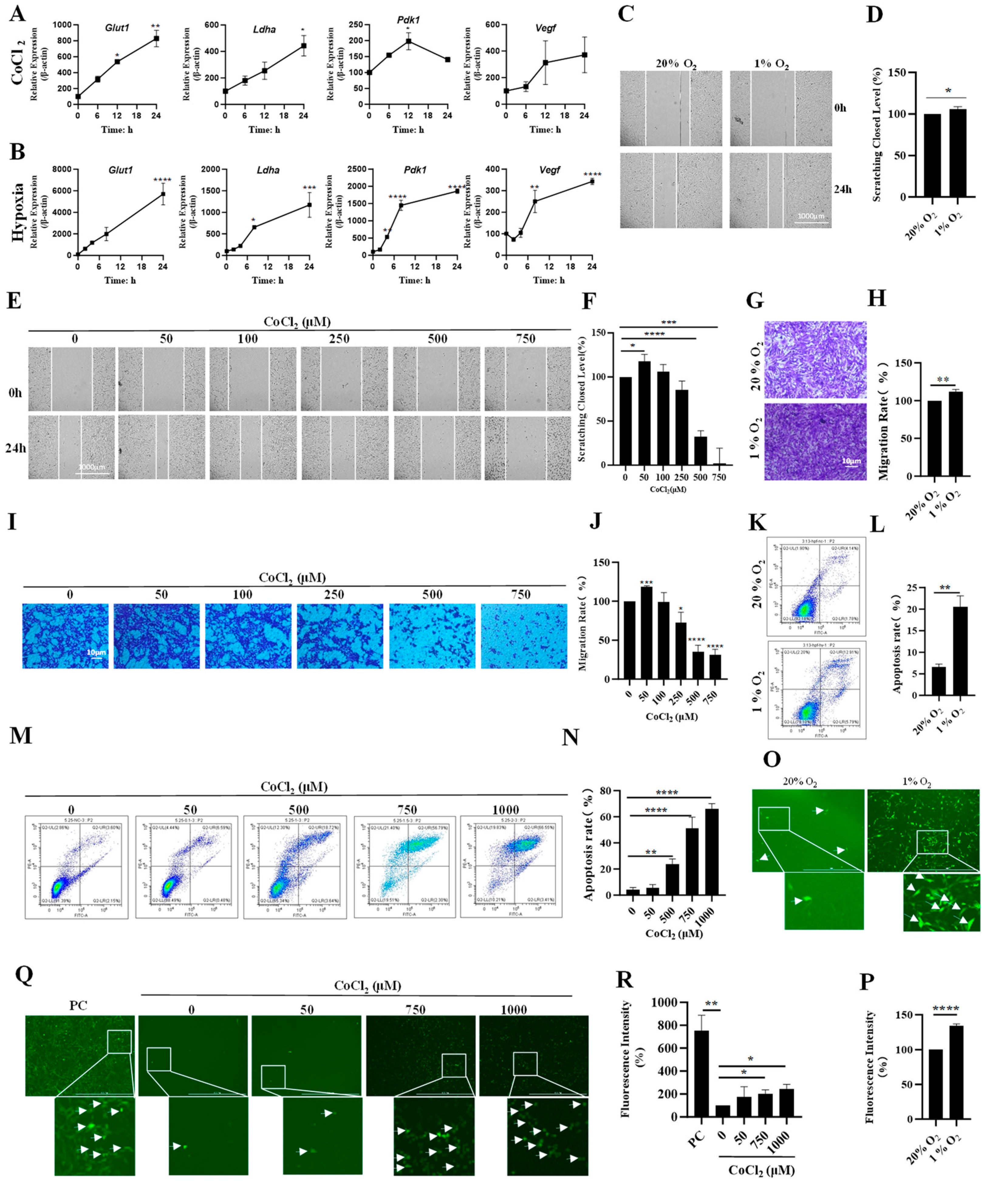 Biology 13 00598 g001 Biology 13 00598 g001