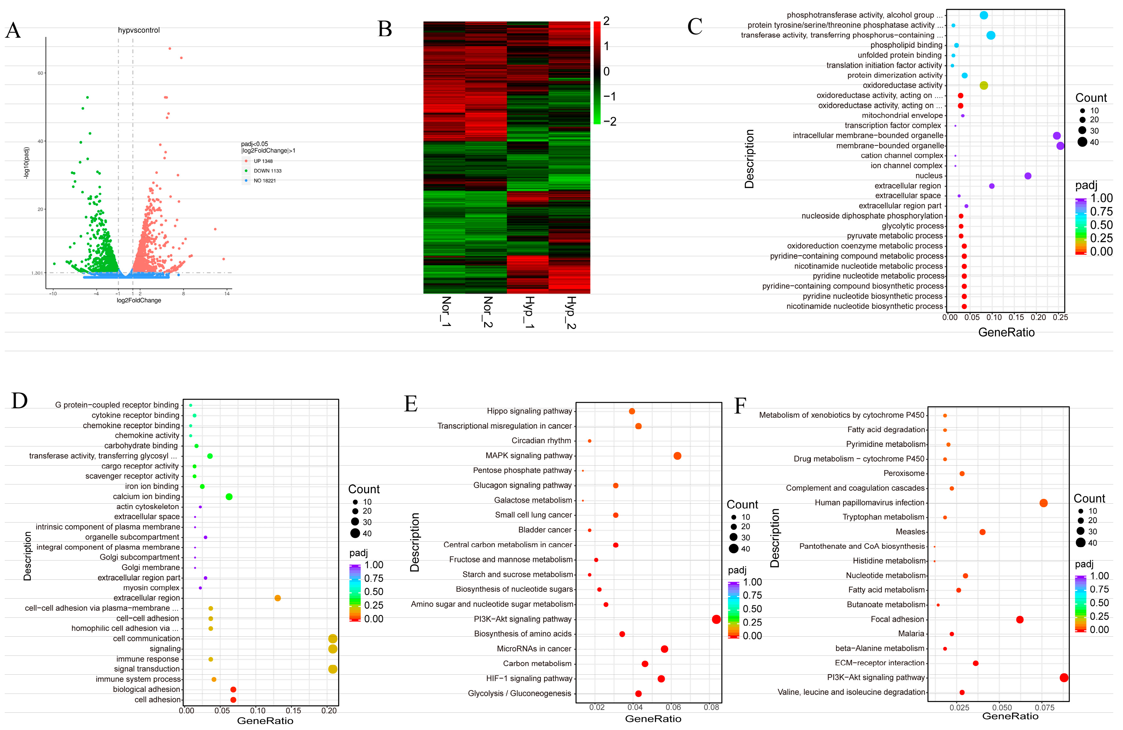 Biology 13 00598 g002 Biology 13 00598 g002