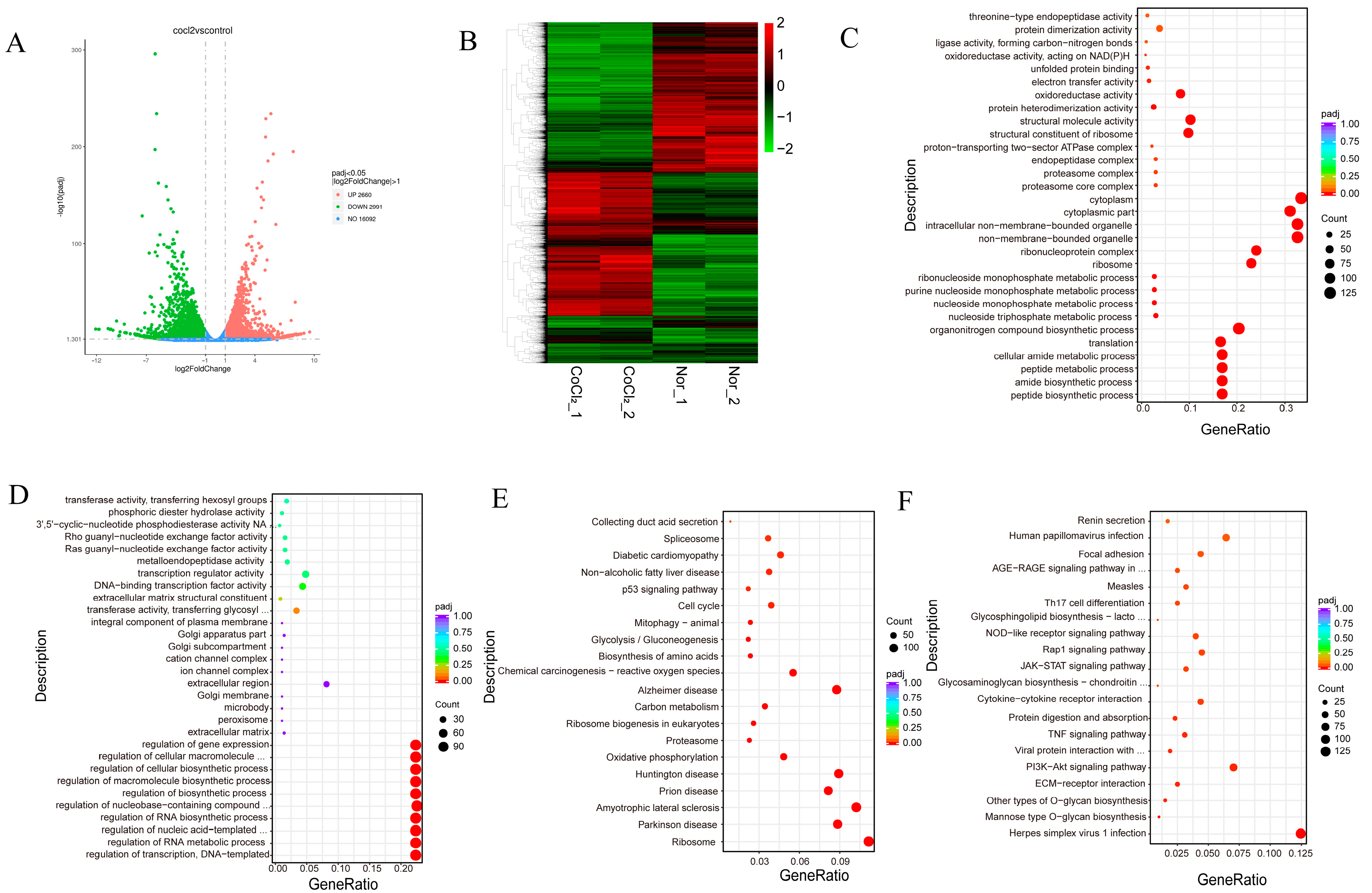 Biology 13 00598 g005 Biology 13 00598 g005