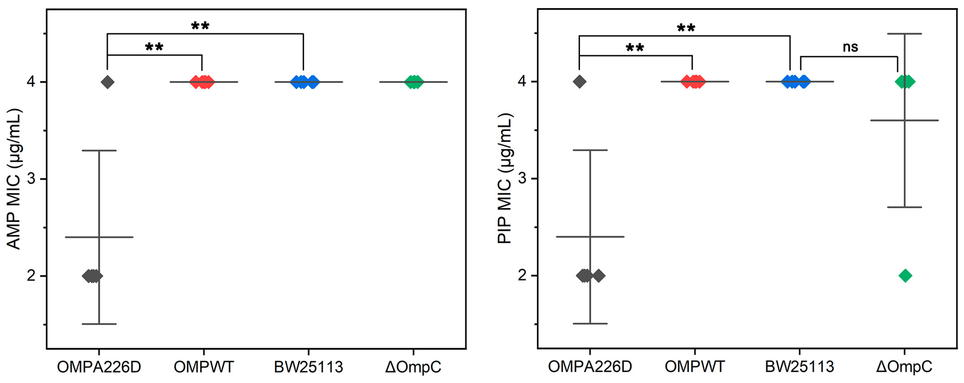 Biology 13 00600 g001