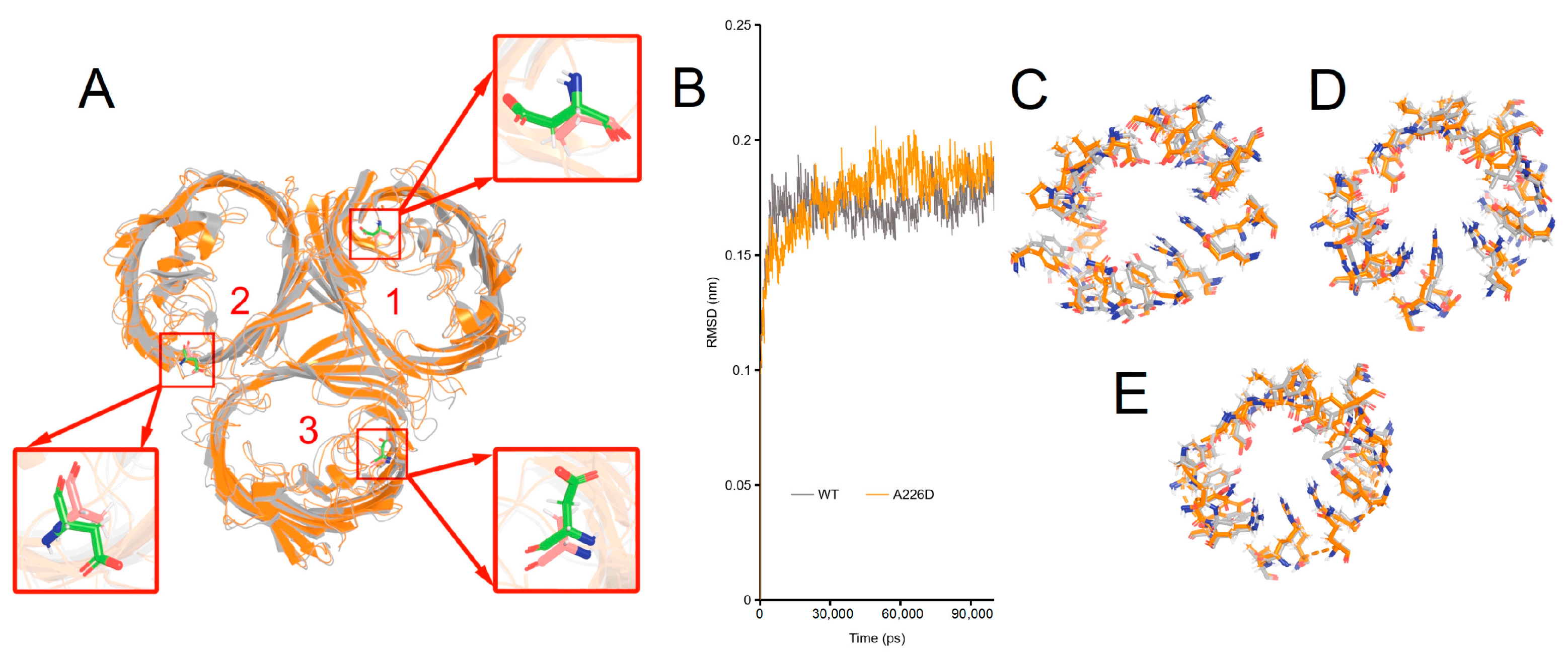 Biology 13 00600 g005