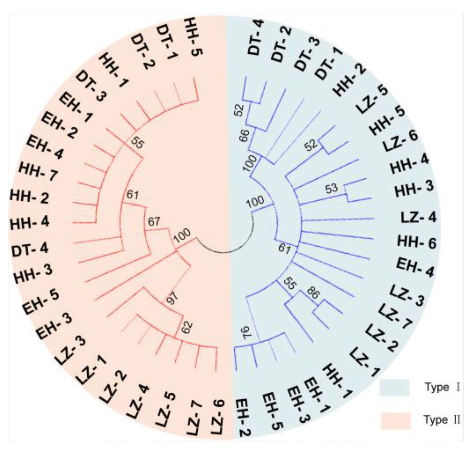 Biology 13 00604 g005 Biology 13 00604 g005
