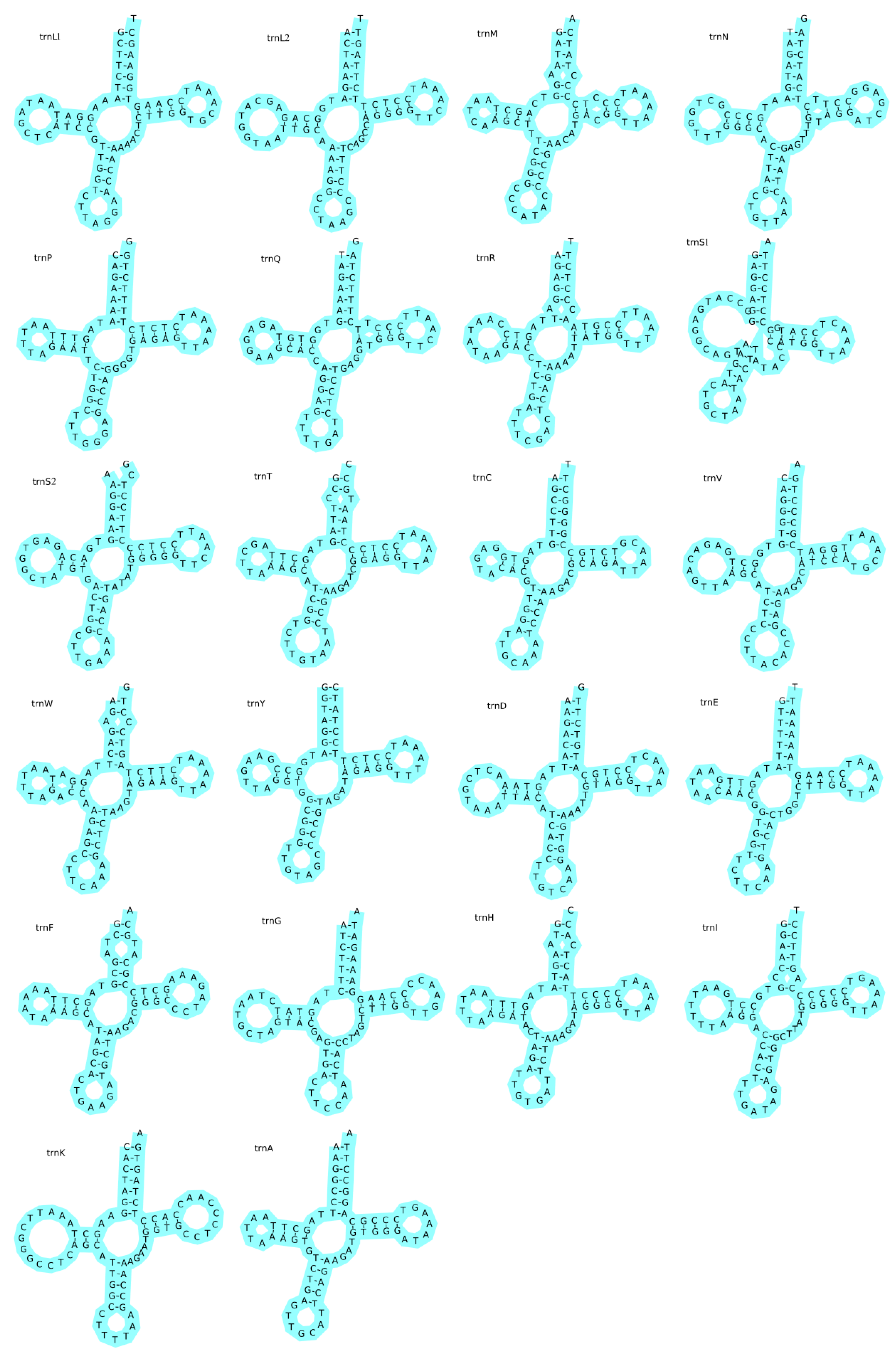 Biology 13 00608 g002