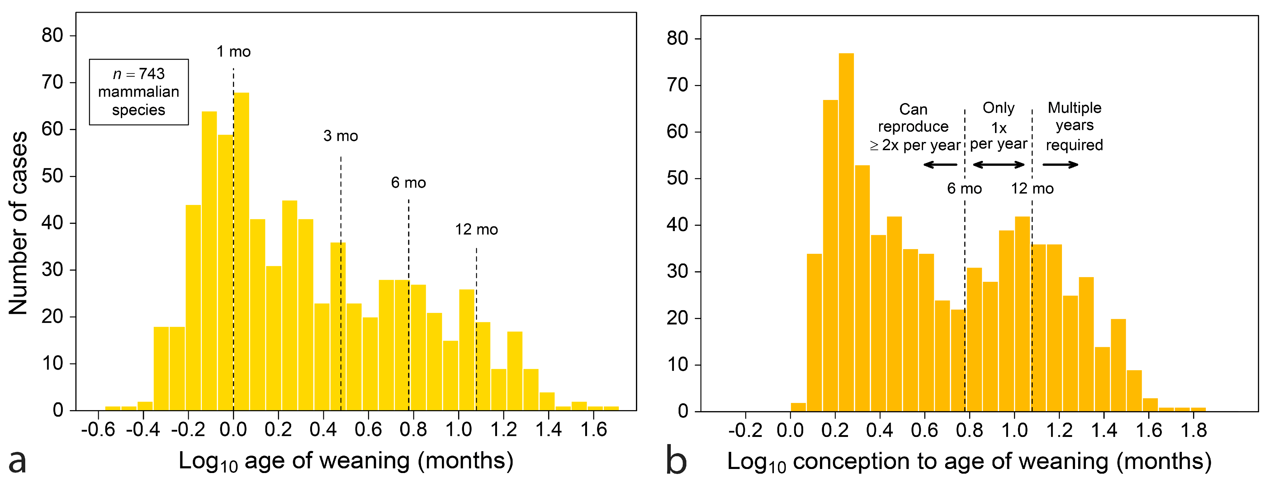 Biology 13 00612 g001