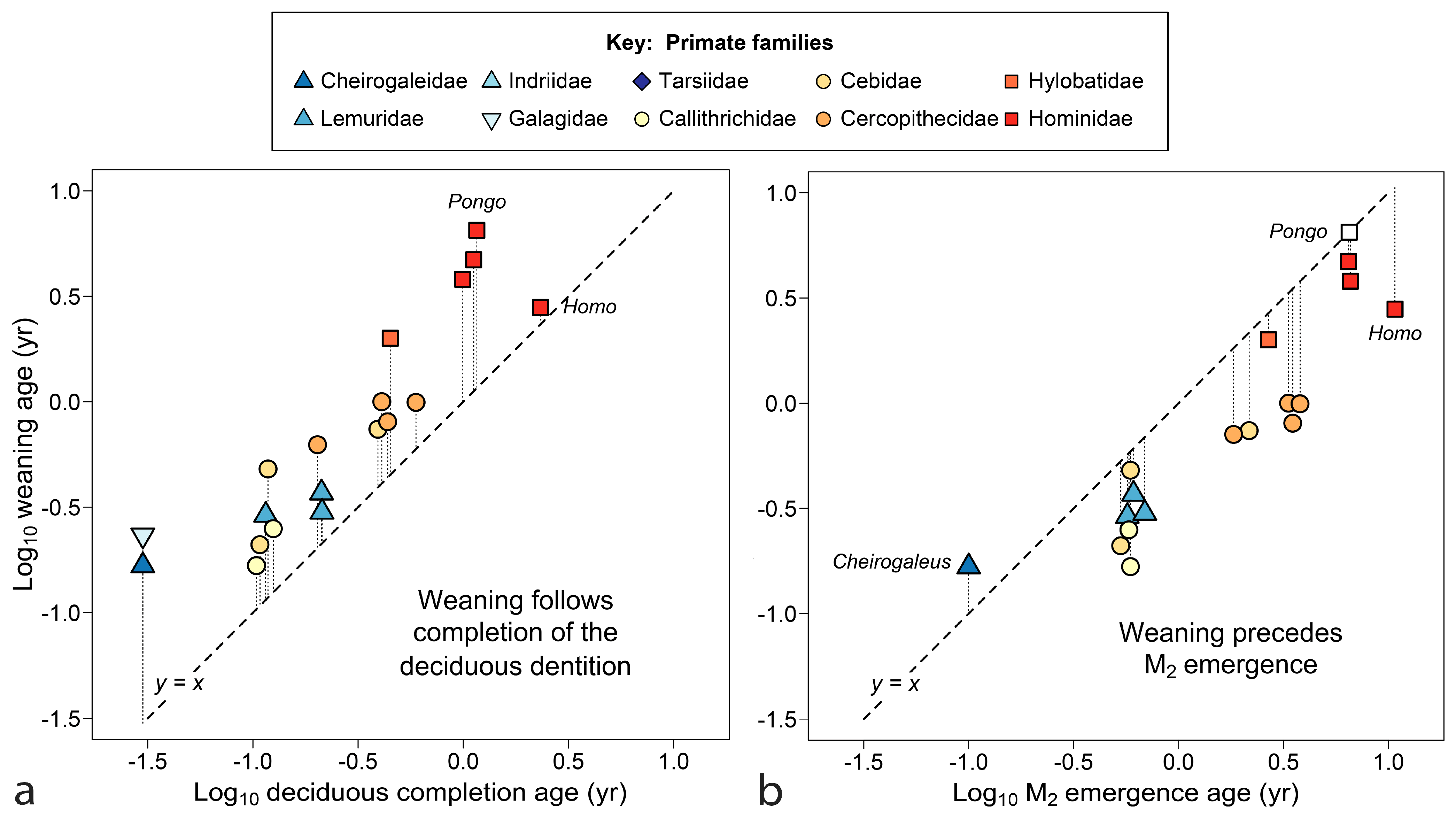 Biology 13 00612 g002