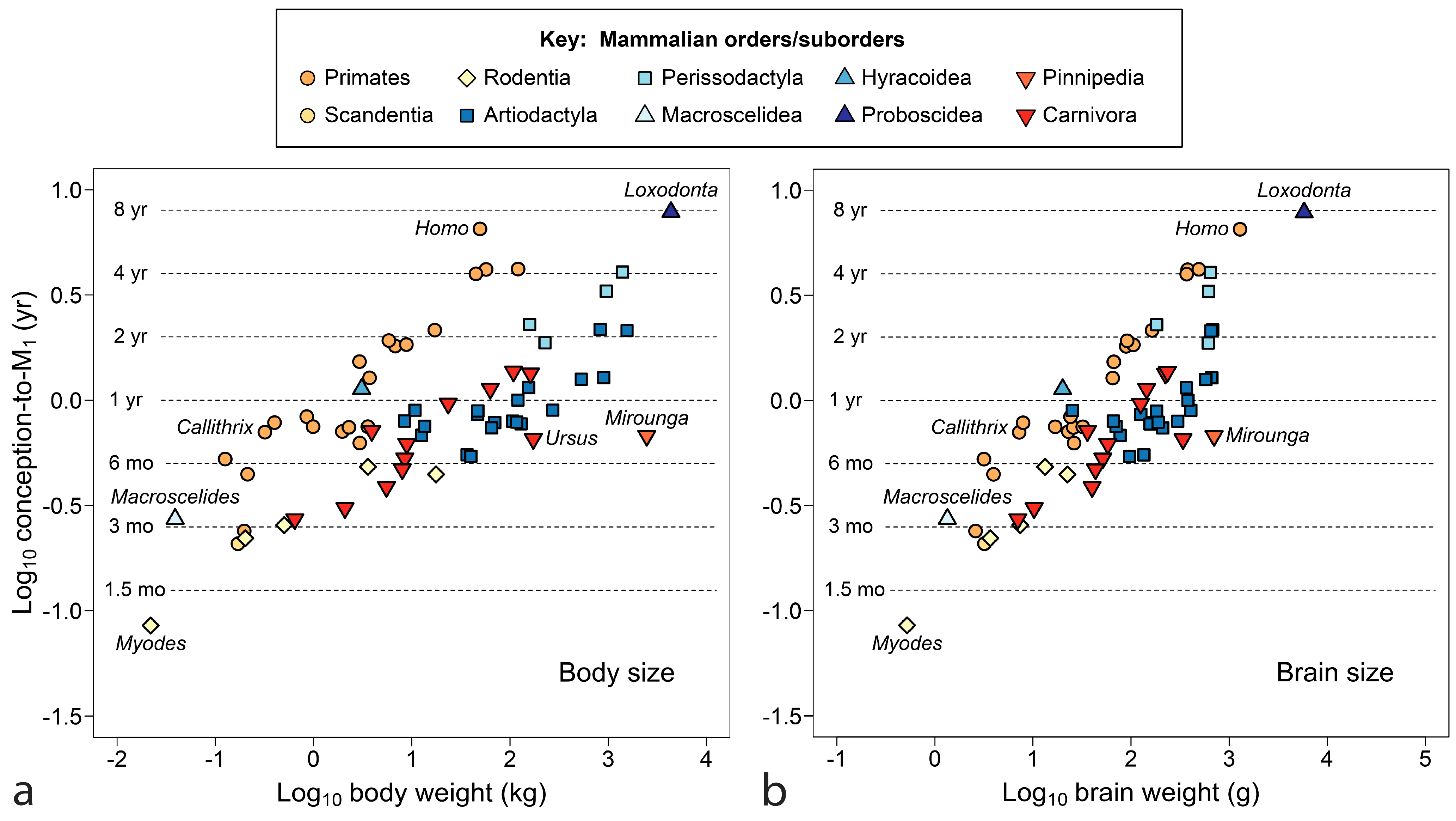 Biology 13 00612 g007