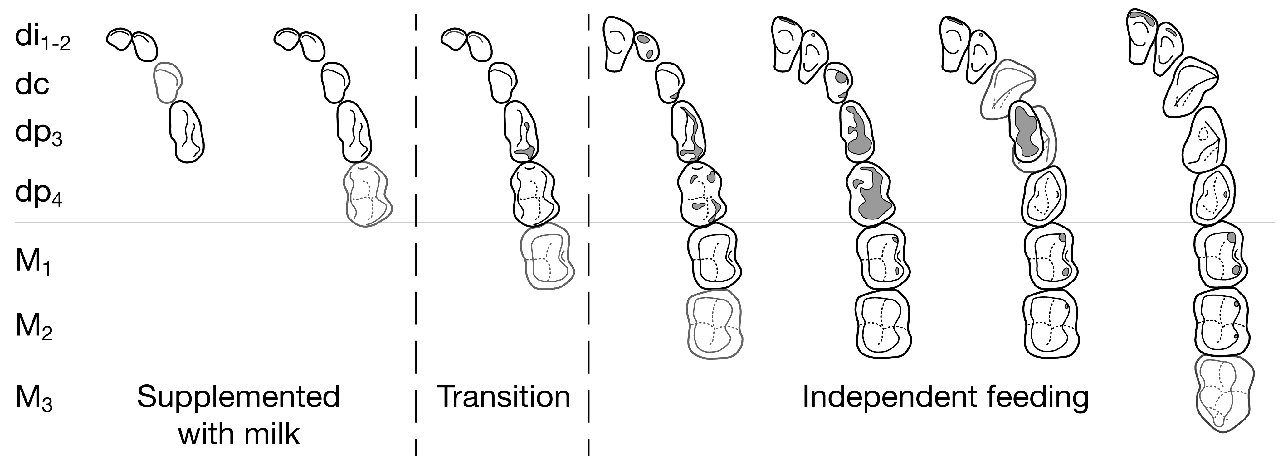 Biology 13 00612 g009