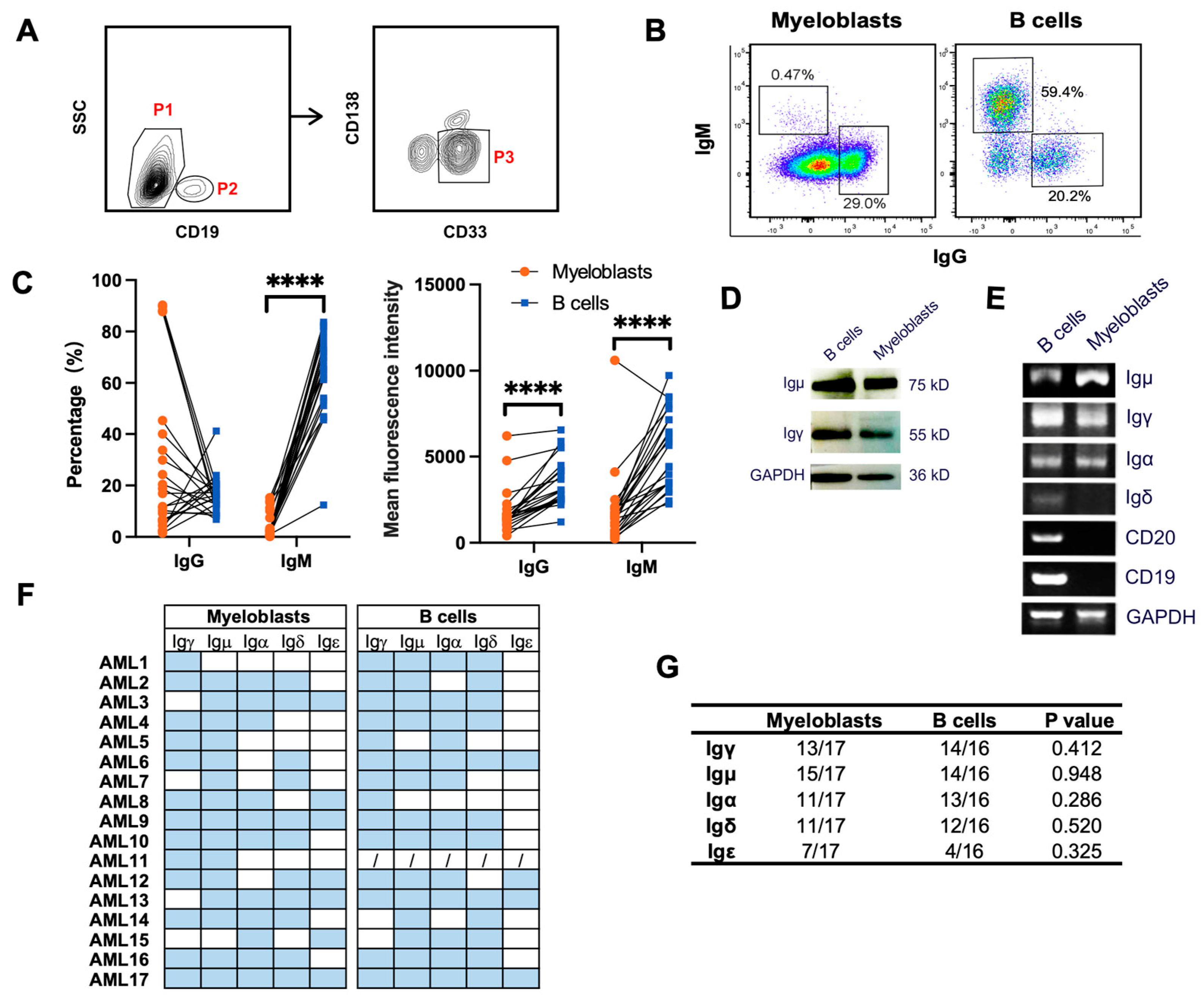 Biology 13 00613 g002 Biology 13 00613 g002