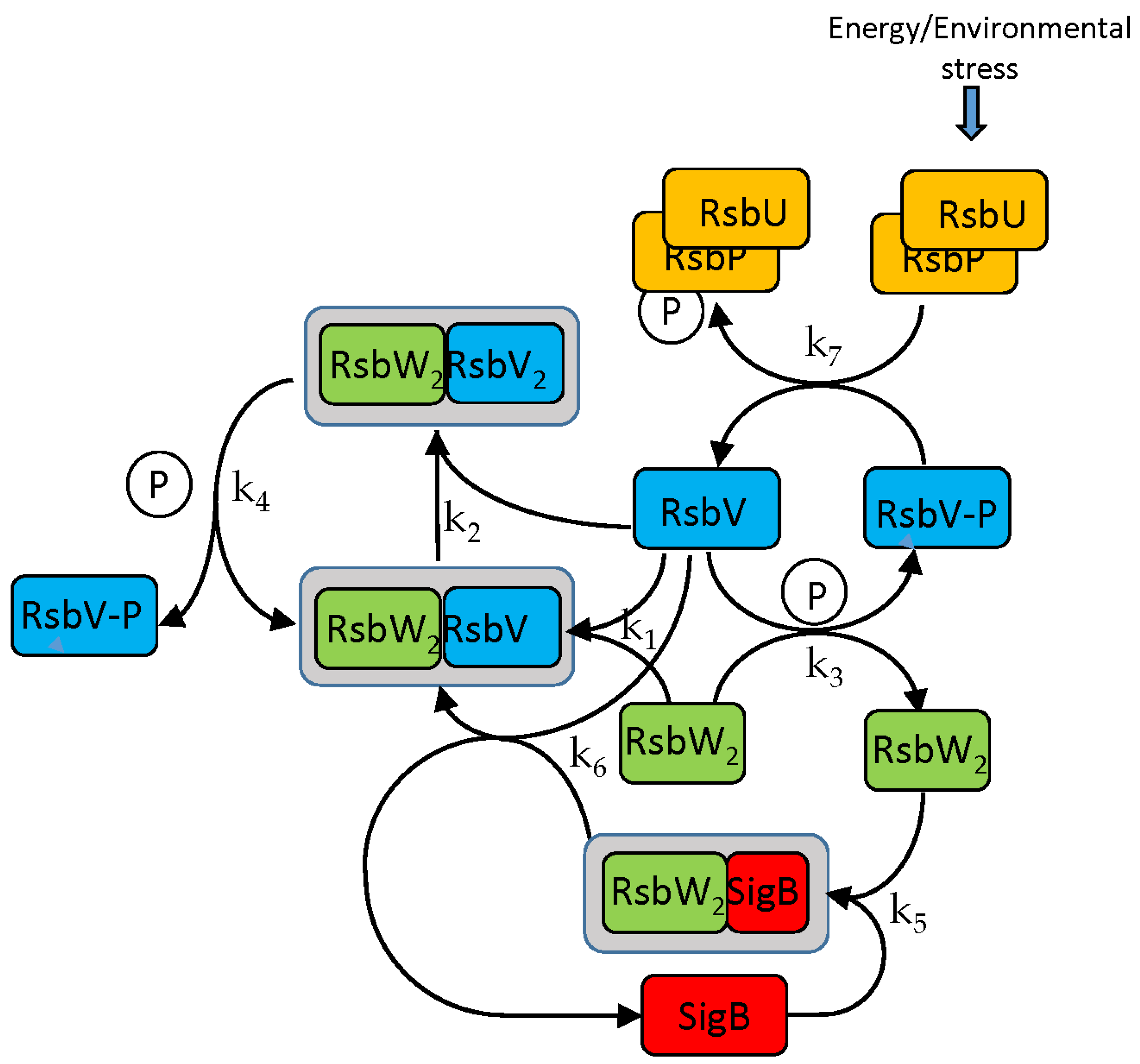 Biology 13 00614 g001