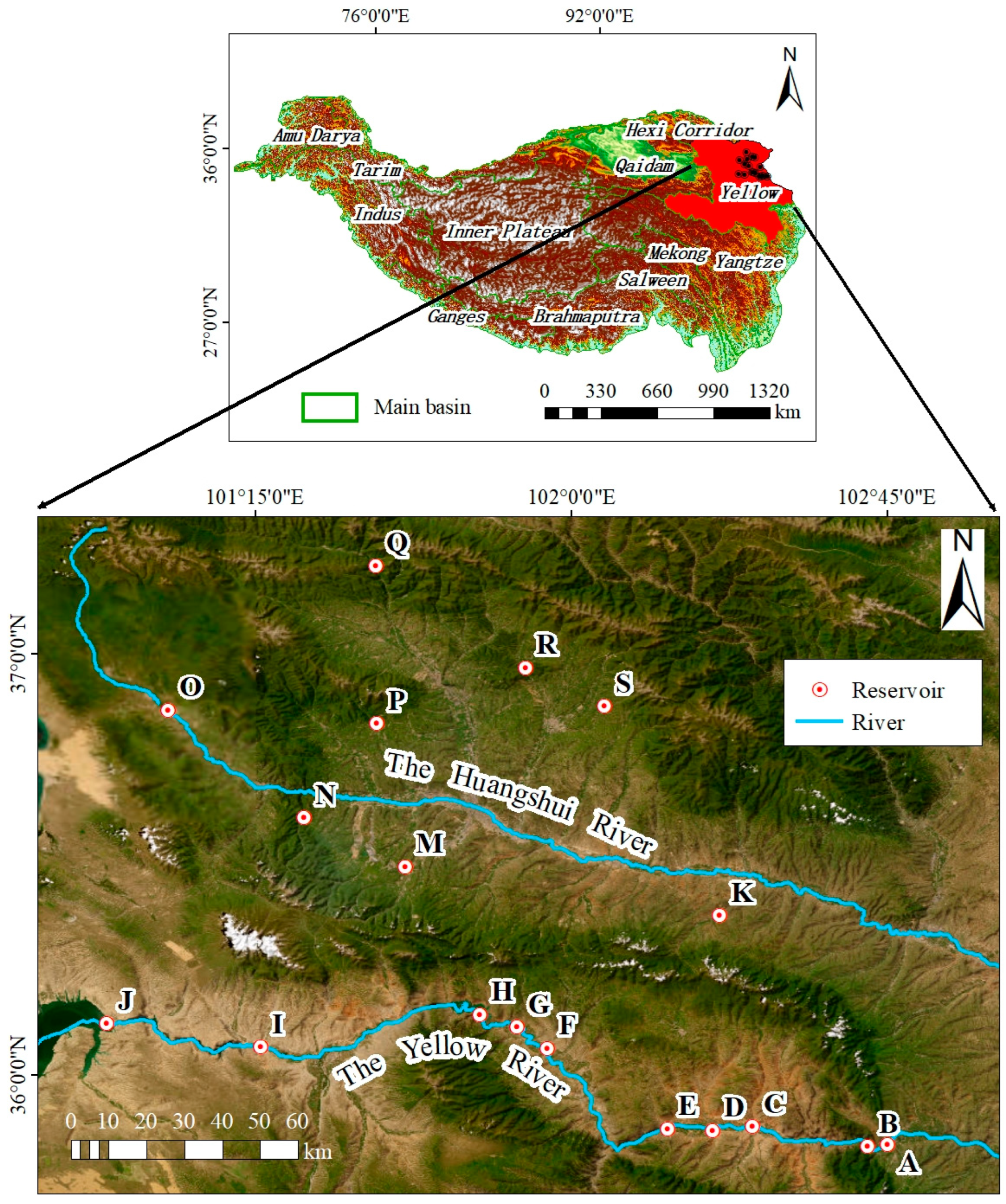 Biology 13 00615 g001