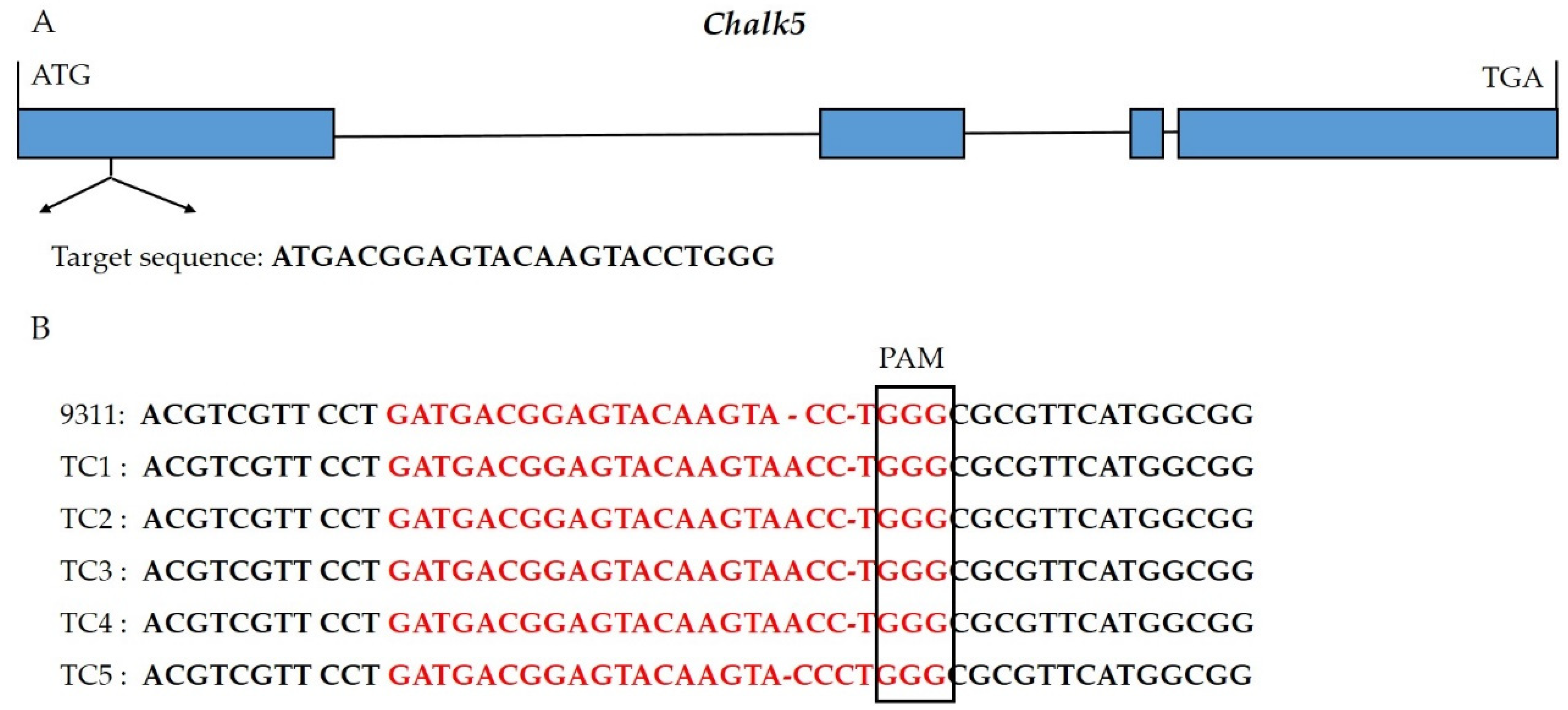Biology 13 00617 g001