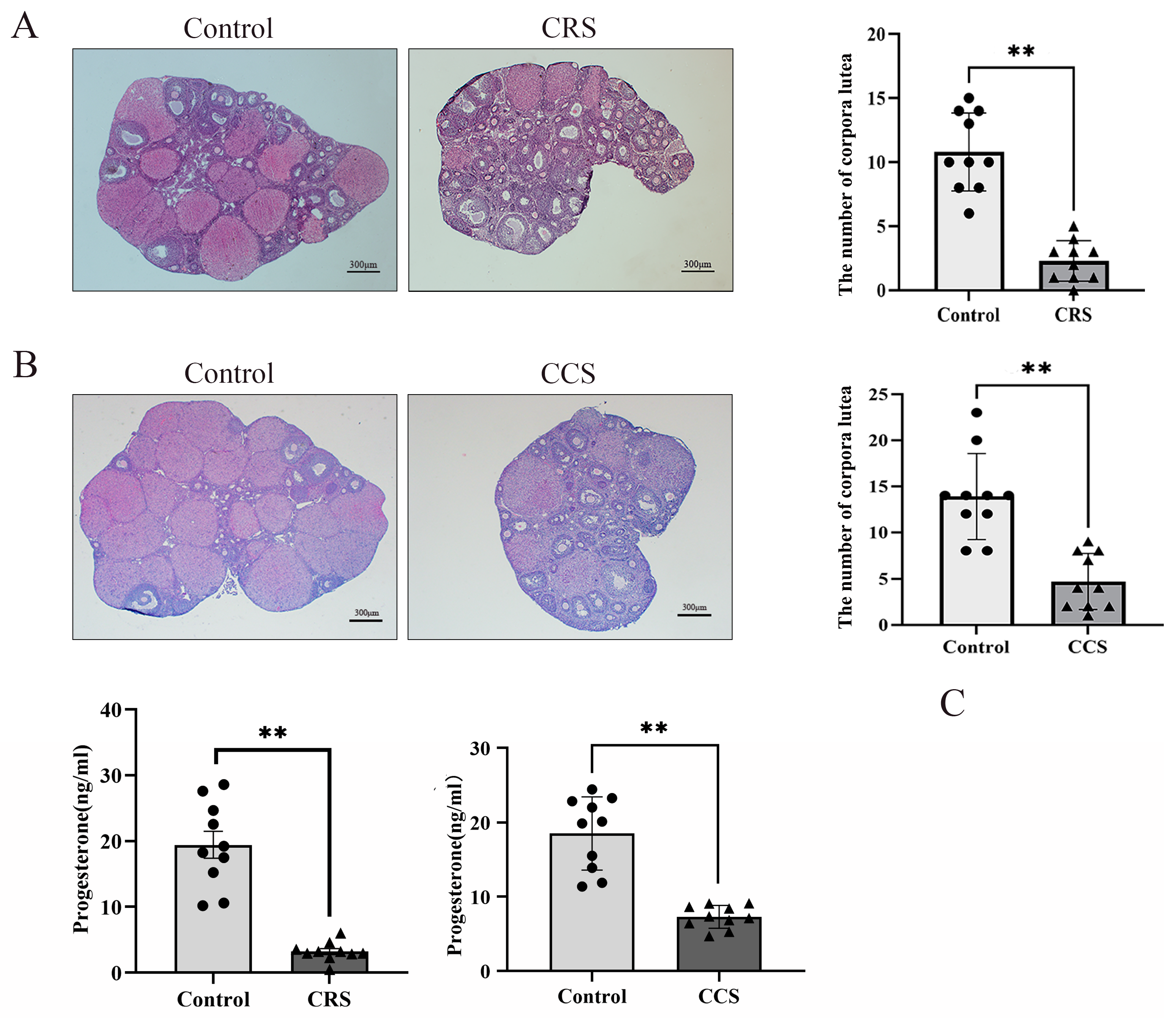 Biology 13 00620 g002