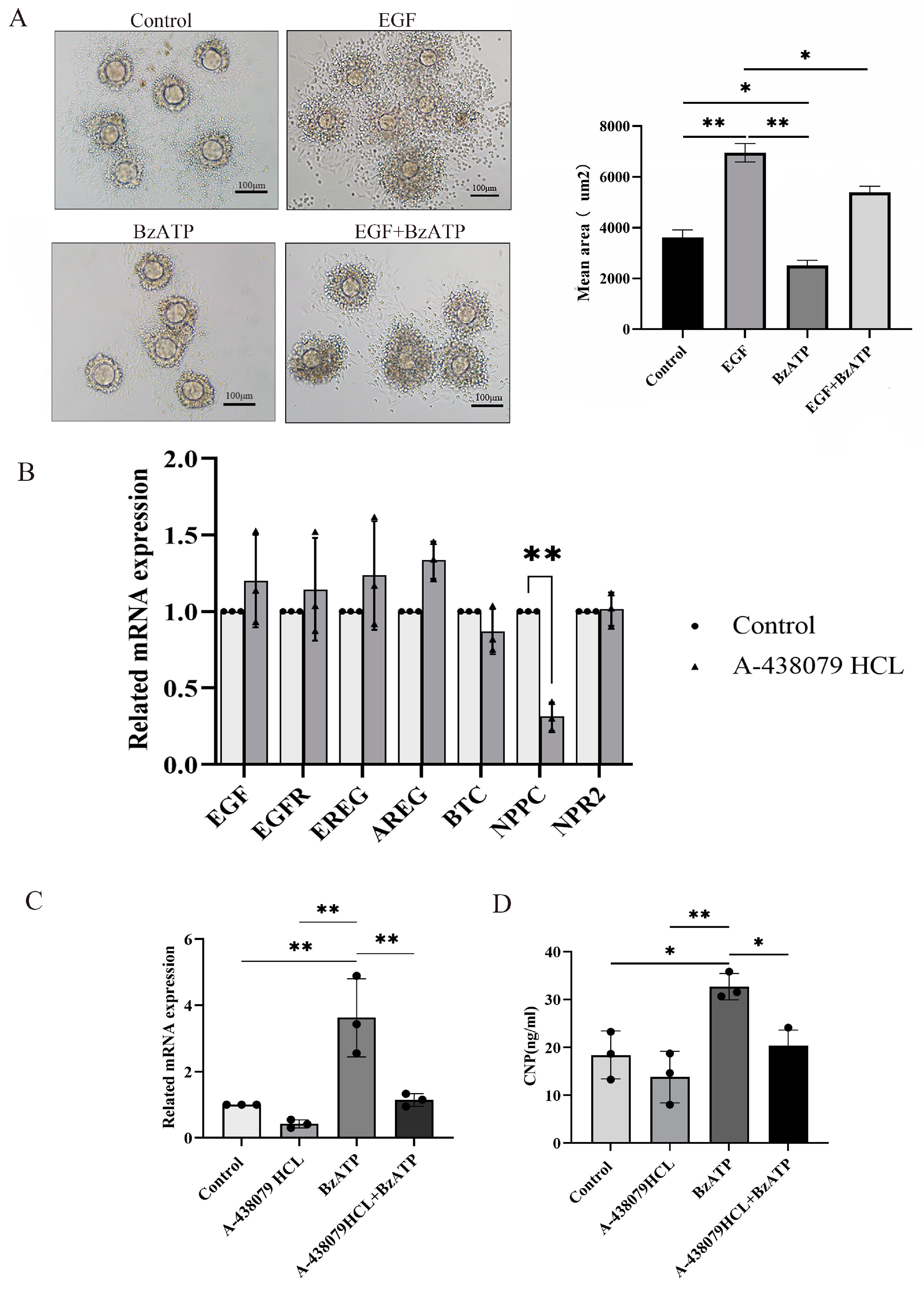 Biology 13 00620 g004