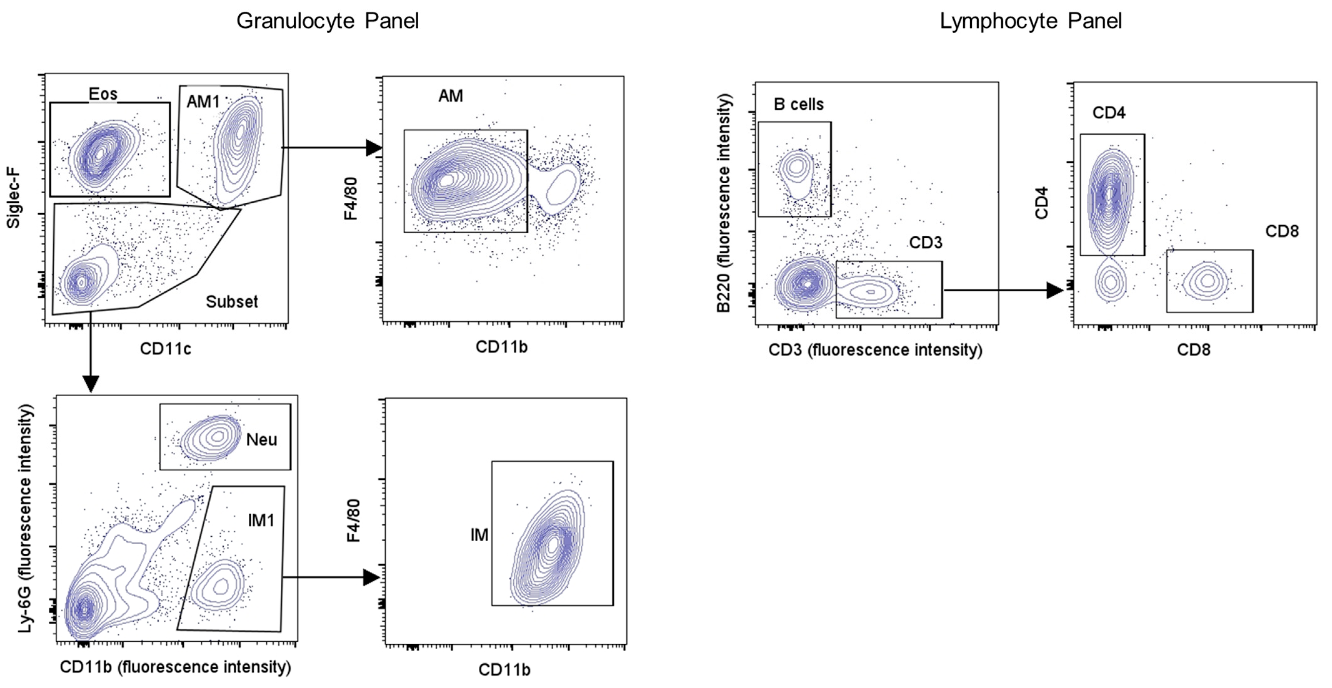 Biology 13 00627 g001 Biology 13 00627 g001