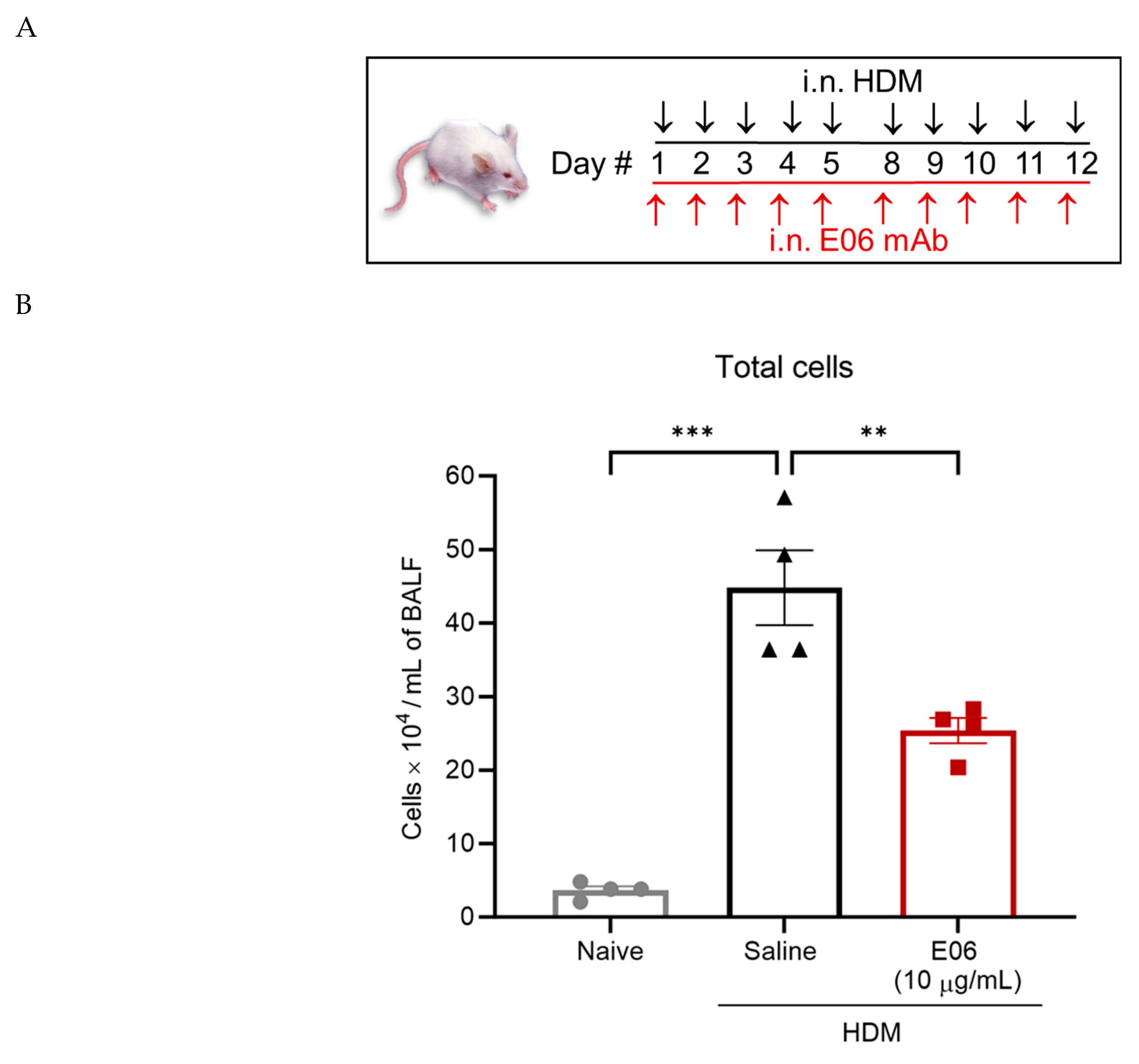 Biology 13 00627 g004a Biology 13 00627 g004a