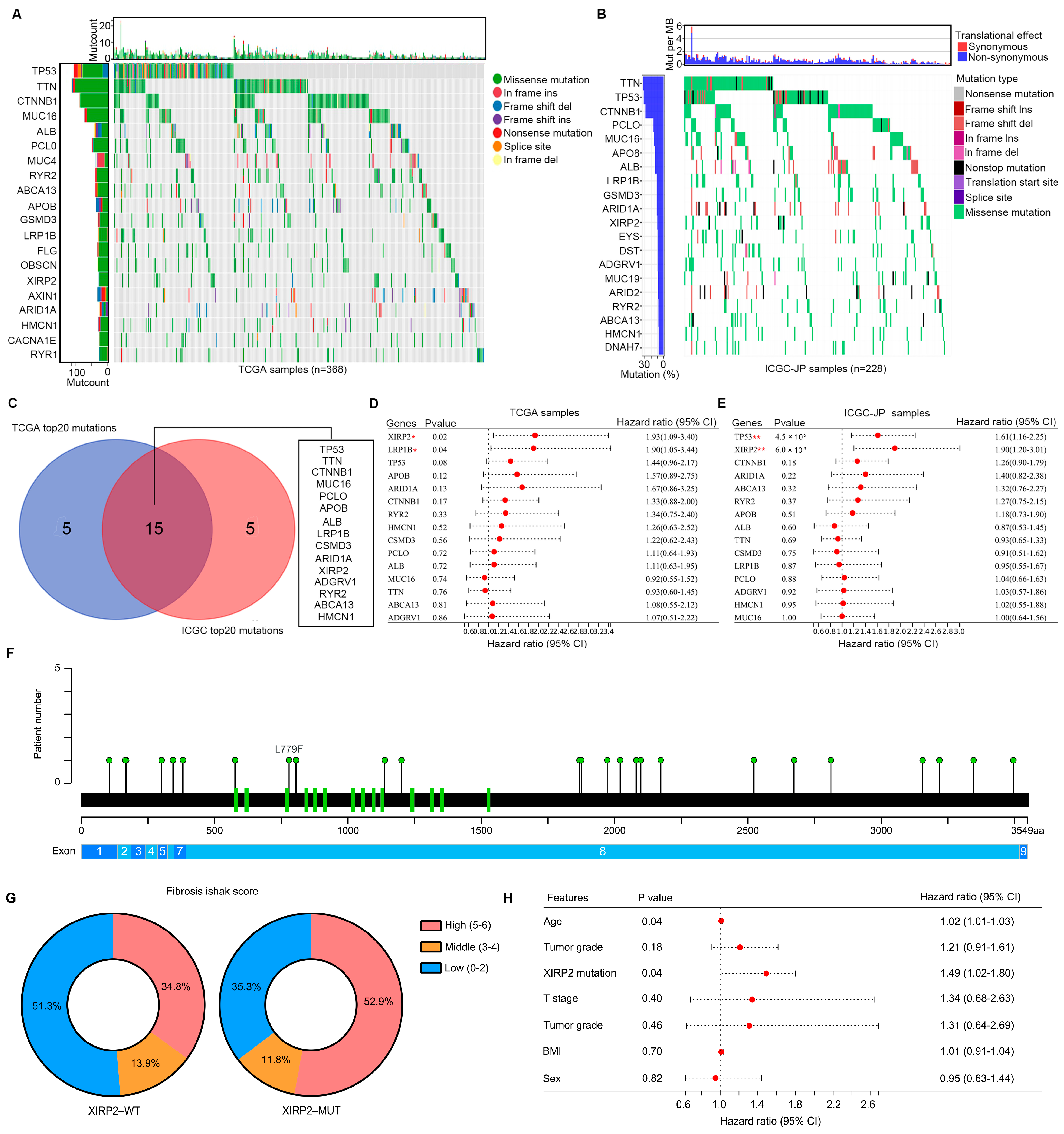 Biology 13 00633 g001