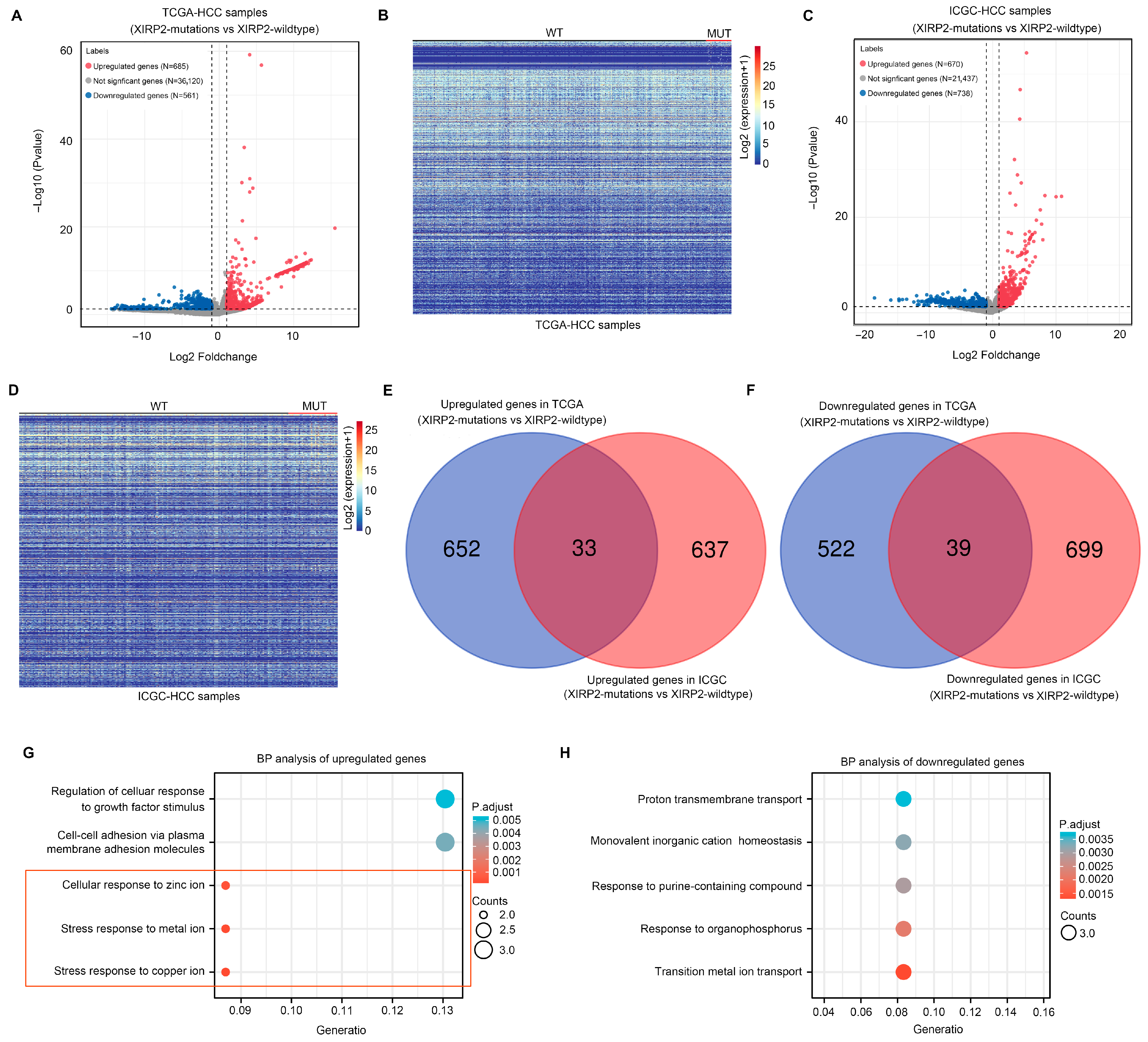 Biology 13 00633 g002