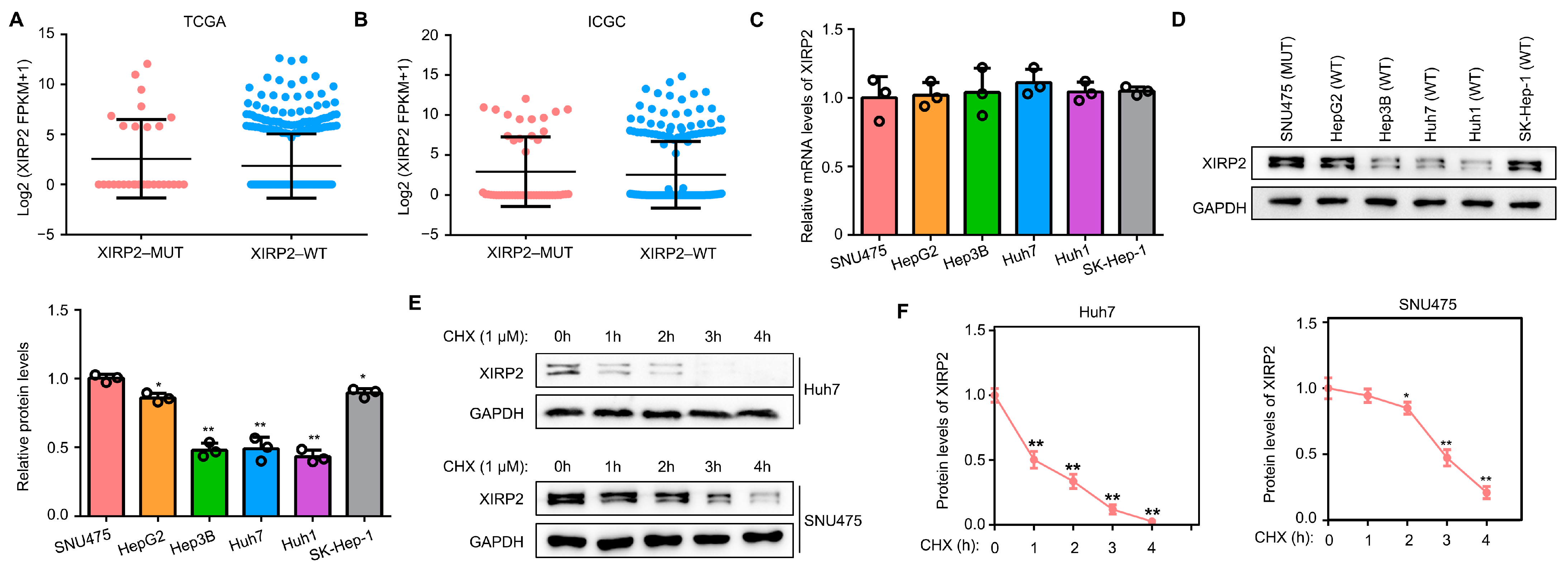 Biology 13 00633 g004